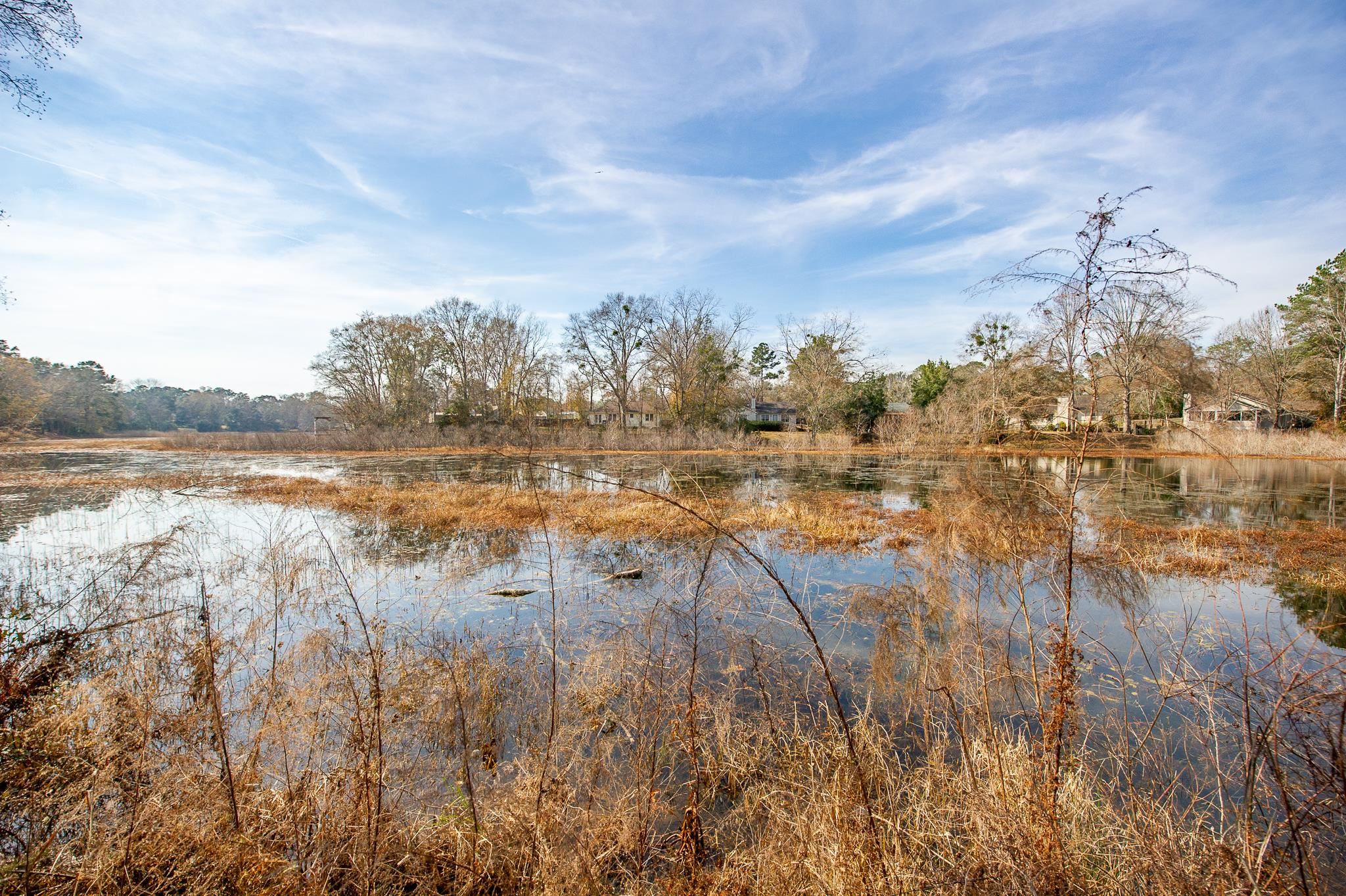 3204 Lord Murphy Trail, Tallahassee, Florida image 39