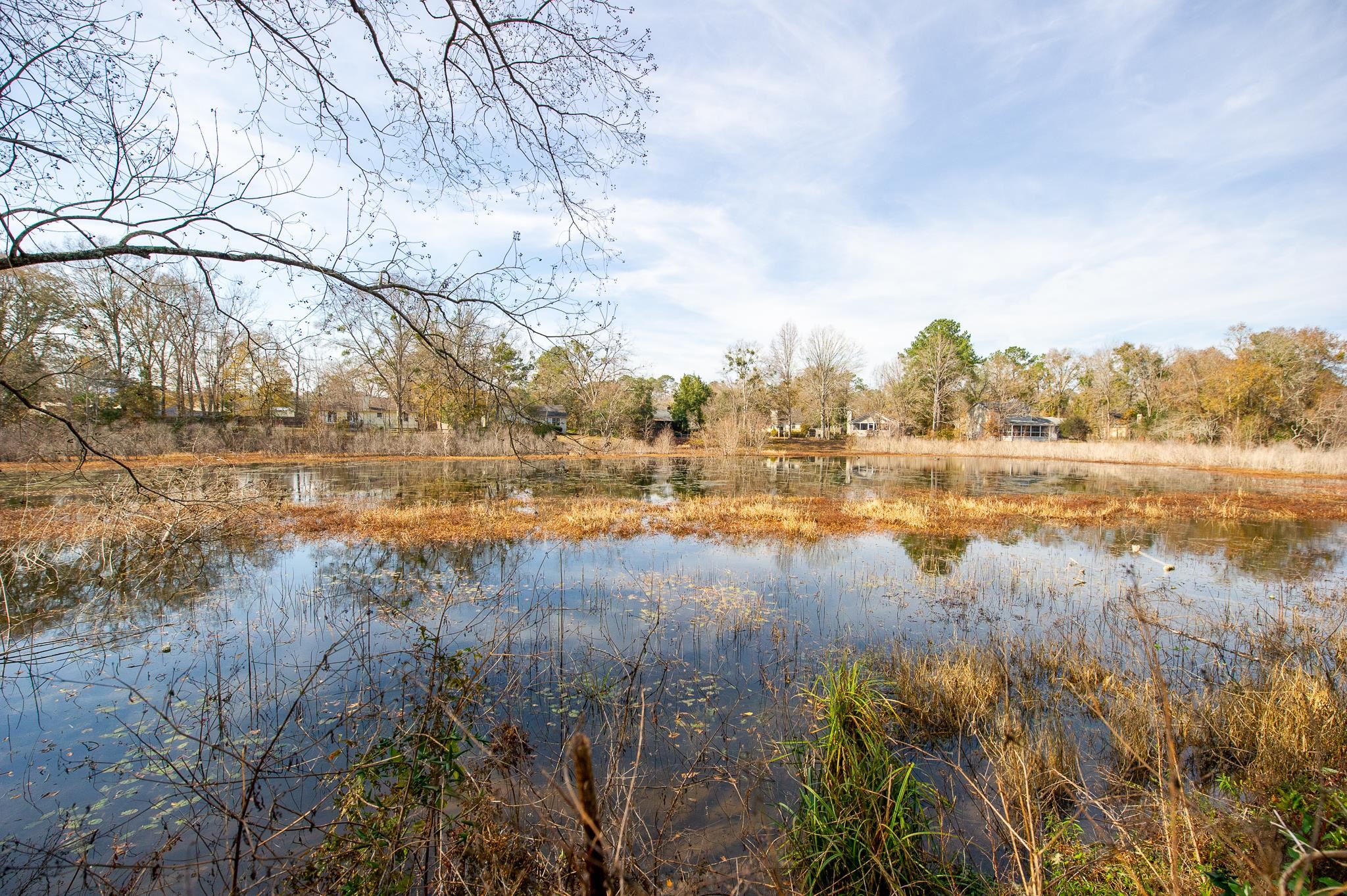 3204 Lord Murphy Trail, Tallahassee, Florida image 40