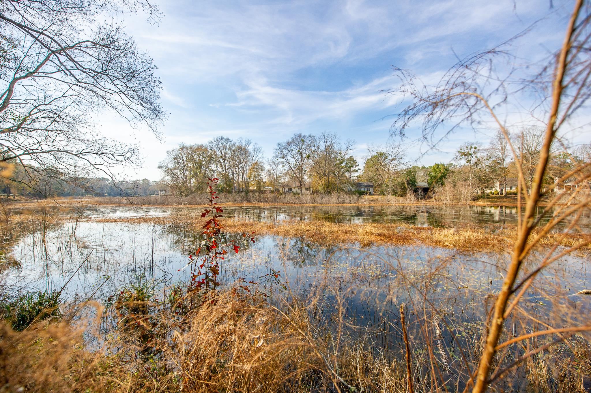 3204 Lord Murphy Trail, Tallahassee, Florida image 41