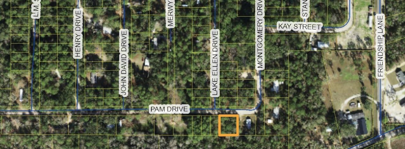 Xx Pam Drive, Crawfordville, Florida image 1