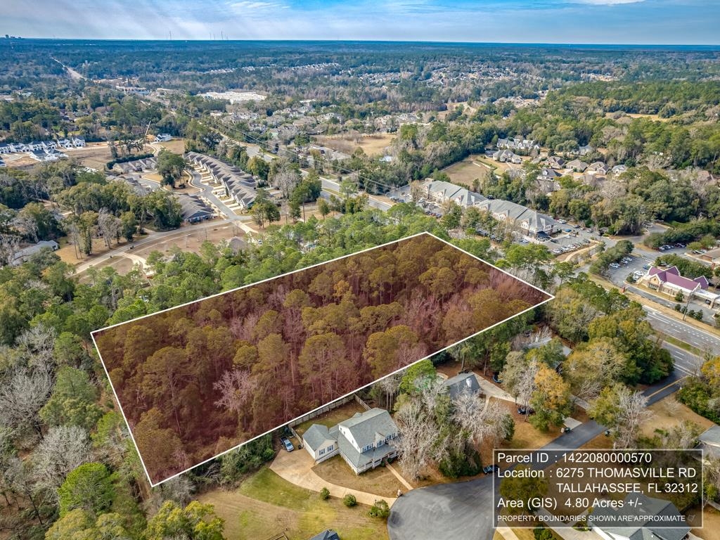 6275 Thomasville Road, Tallahassee, Florida image 1