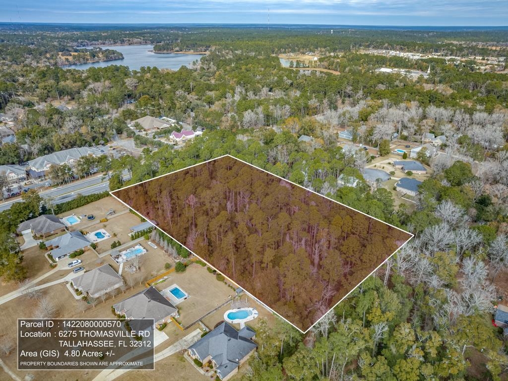6275 Thomasville Road, Tallahassee, Florida image 10