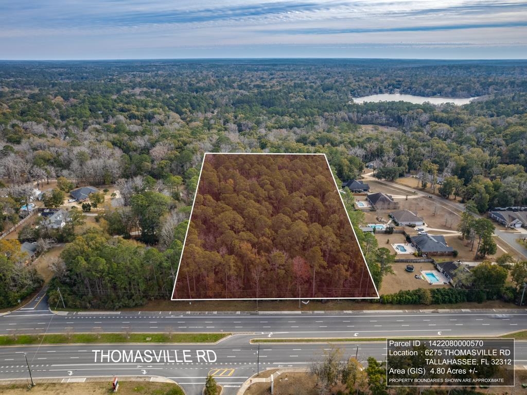 6275 Thomasville Road, Tallahassee, Florida image 3
