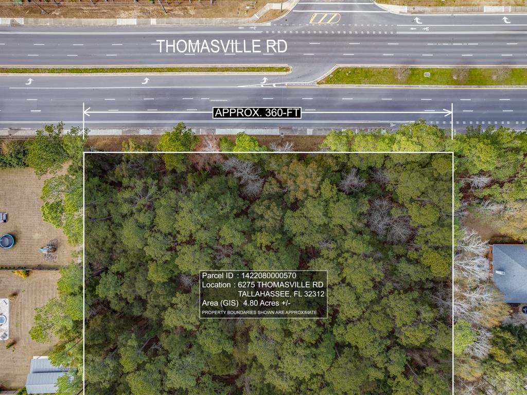 6275 Thomasville Road, Tallahassee, Florida image 4