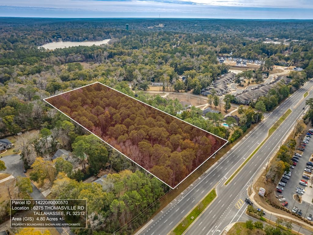 6275 Thomasville Road, Tallahassee, Florida image 5
