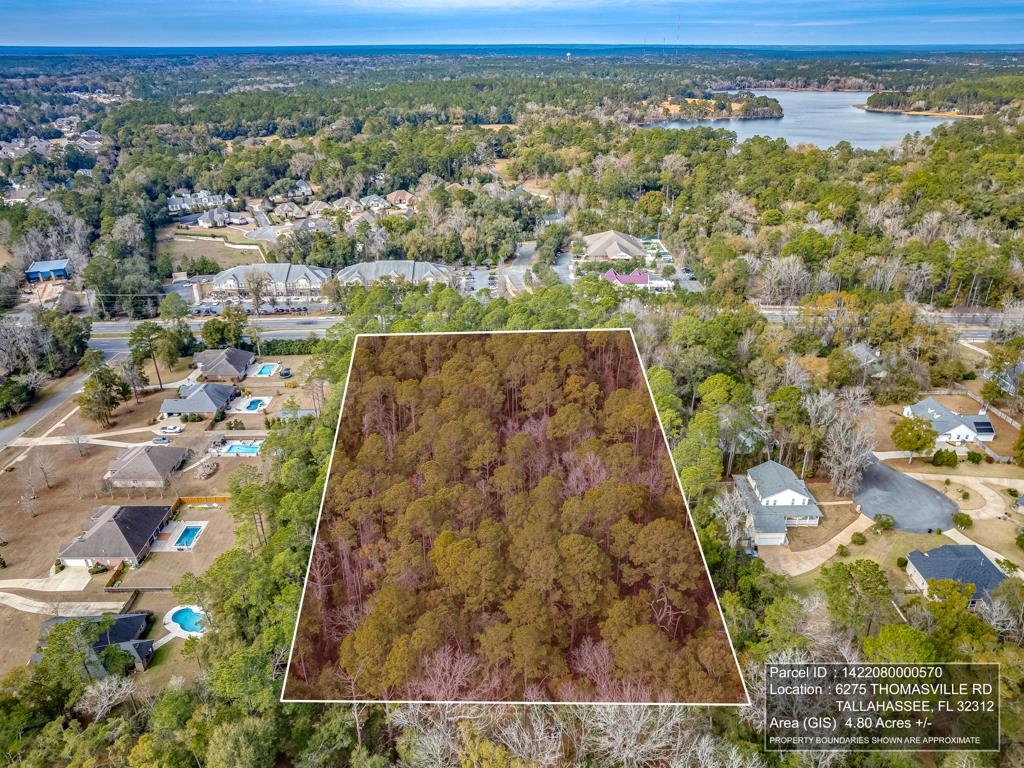 6275 Thomasville Road, Tallahassee, Florida image 9