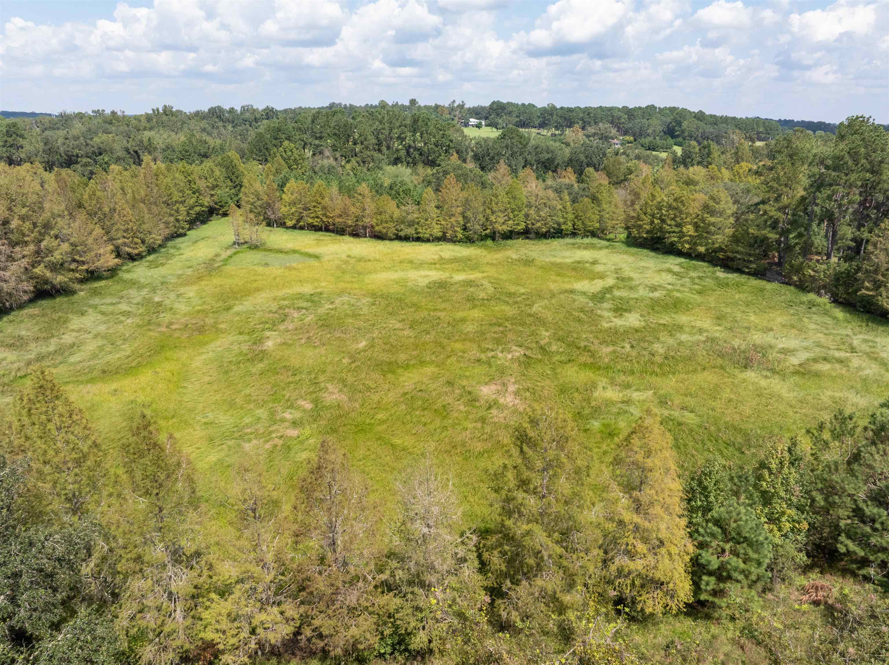 NW St Thomas Church Road, Madison, Texas image 8