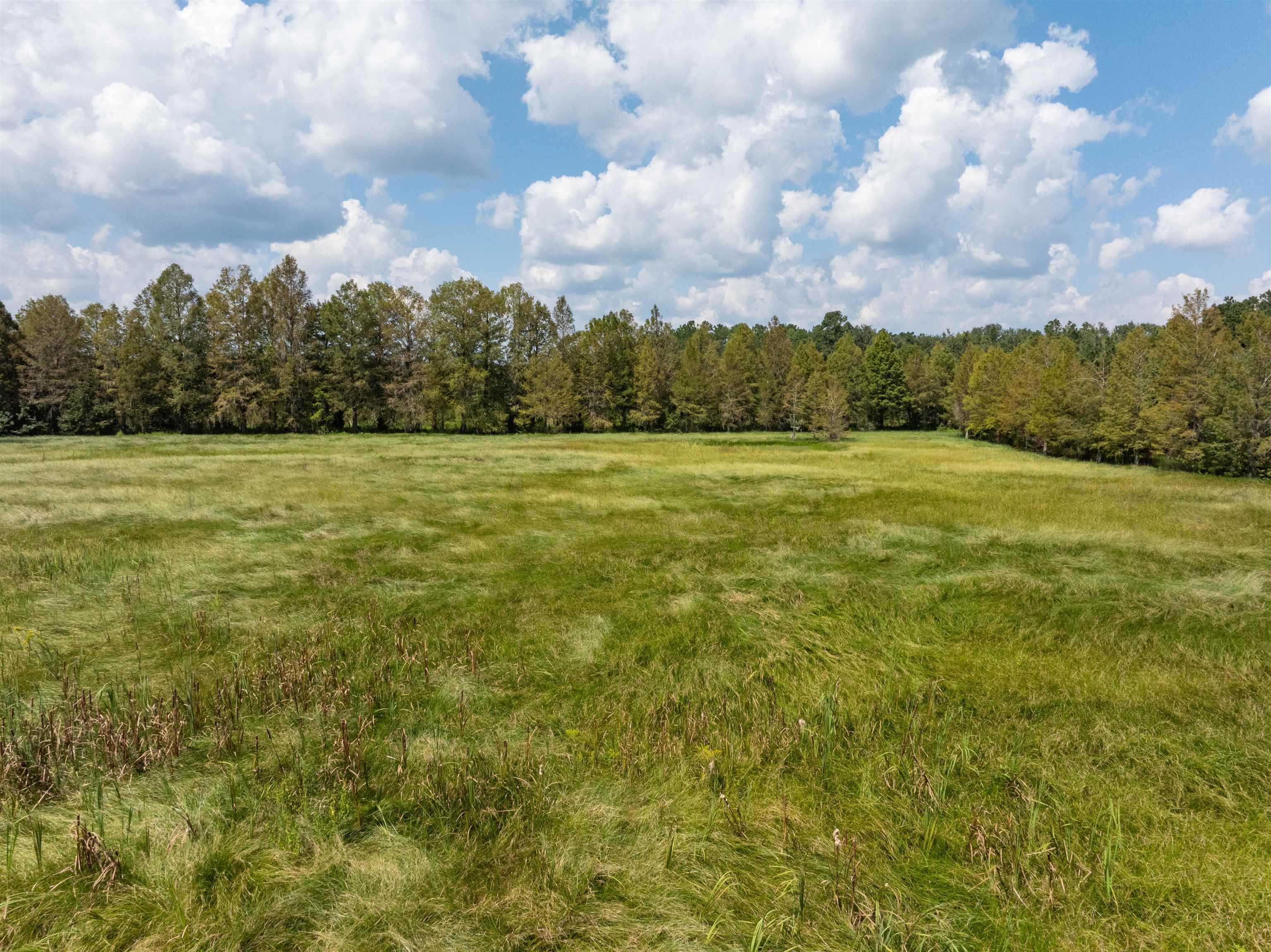 NW St Thomas Church Road, Madison, Texas image 9