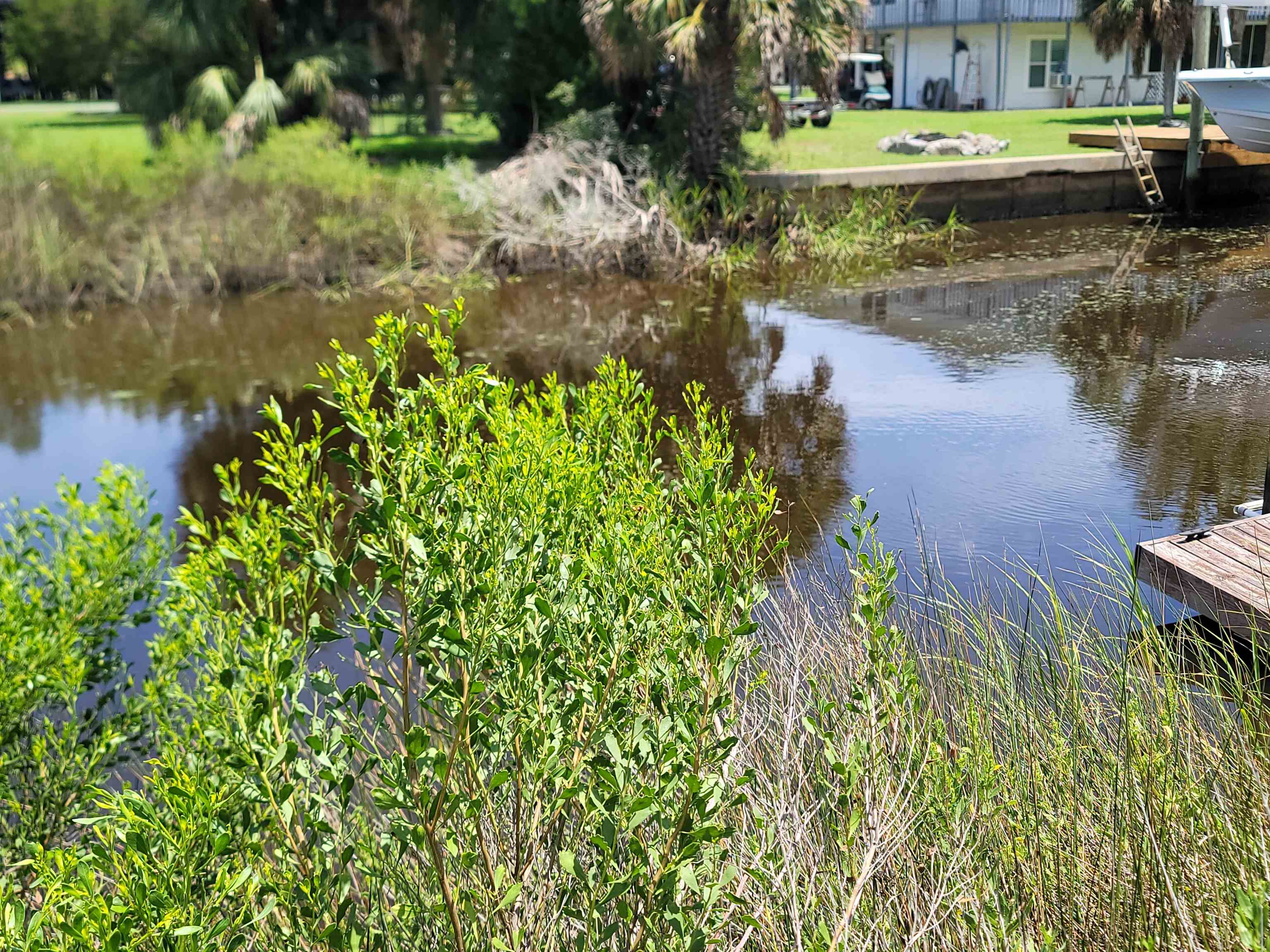 LOT 26 Blue Heron Way #--, Panacea, Florida image 3