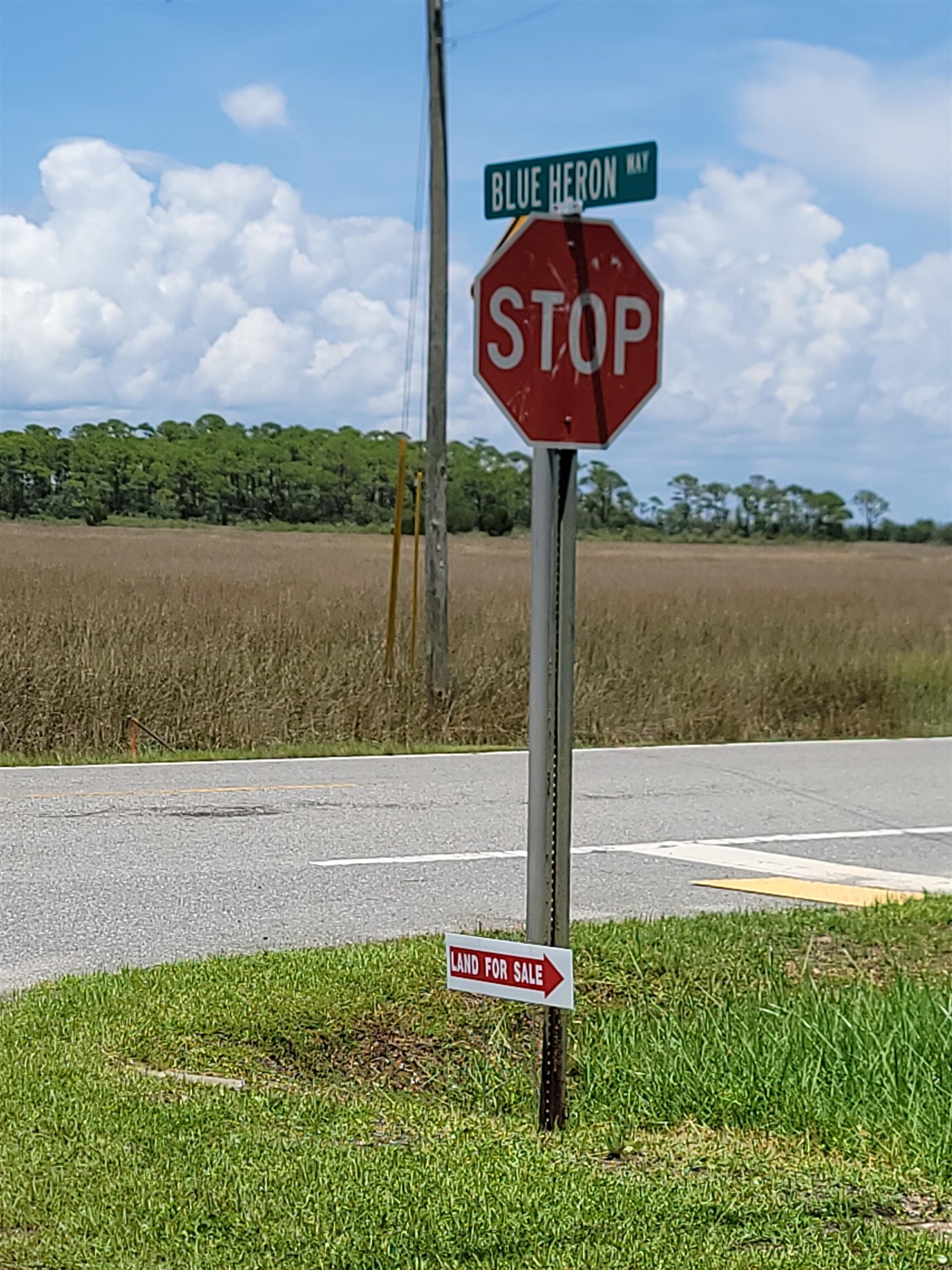 LOT 26 Blue Heron Way #--, Panacea, Florida image 7