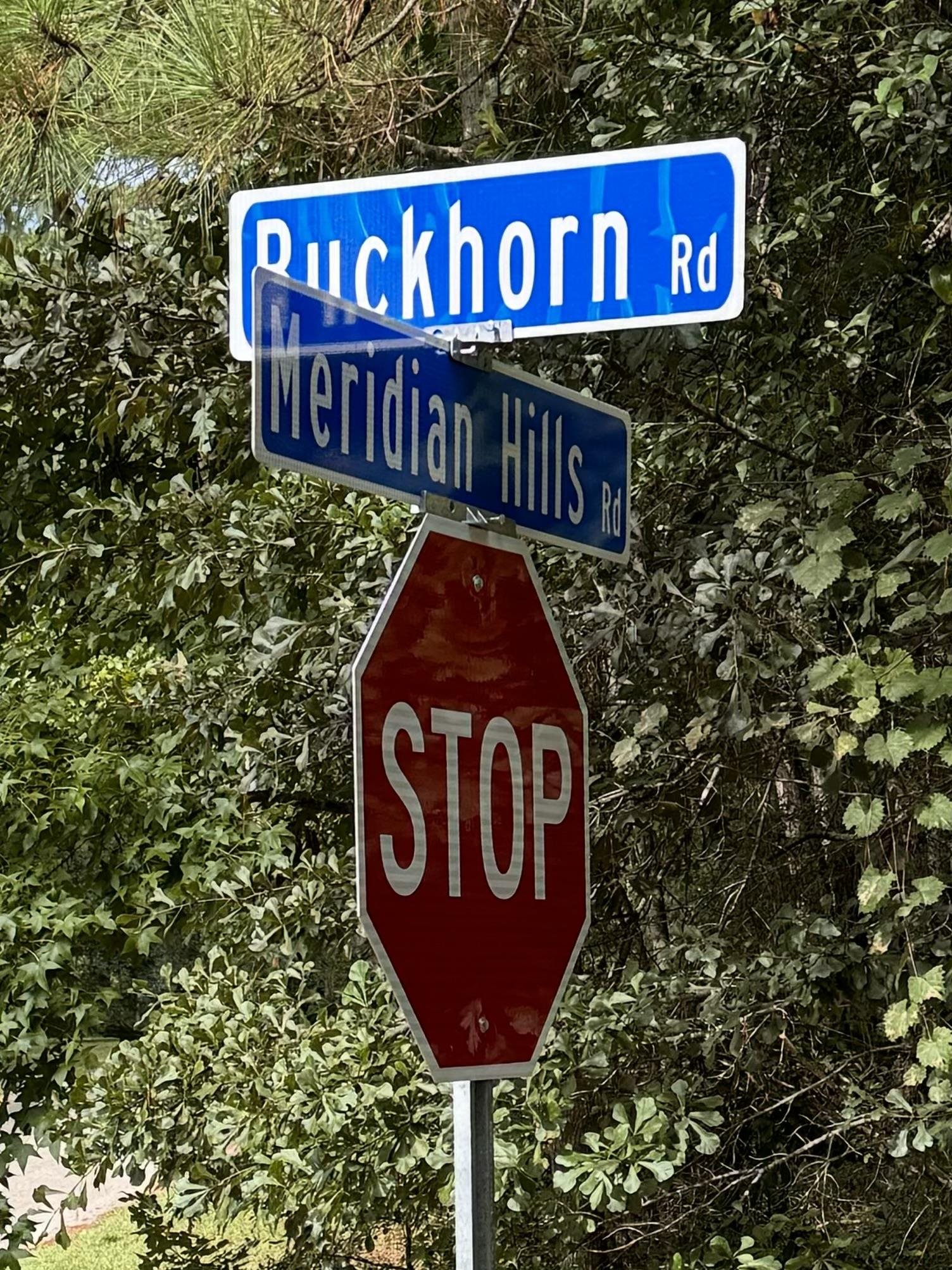 Buckhorn Road, Tallahassee, Texas image 1