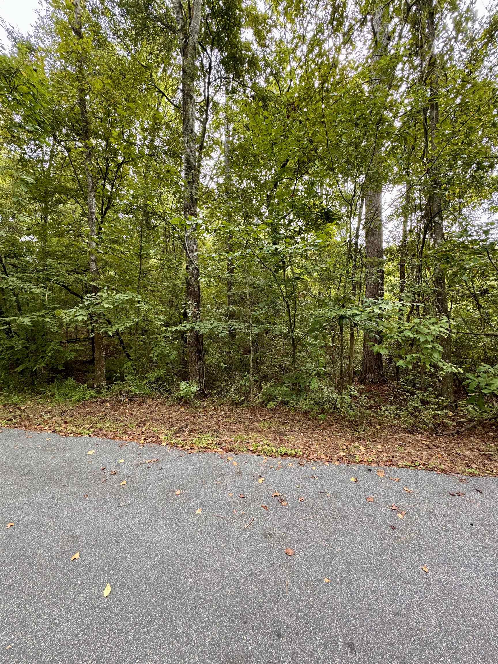 Buckhorn Road, Tallahassee, Florida image 2