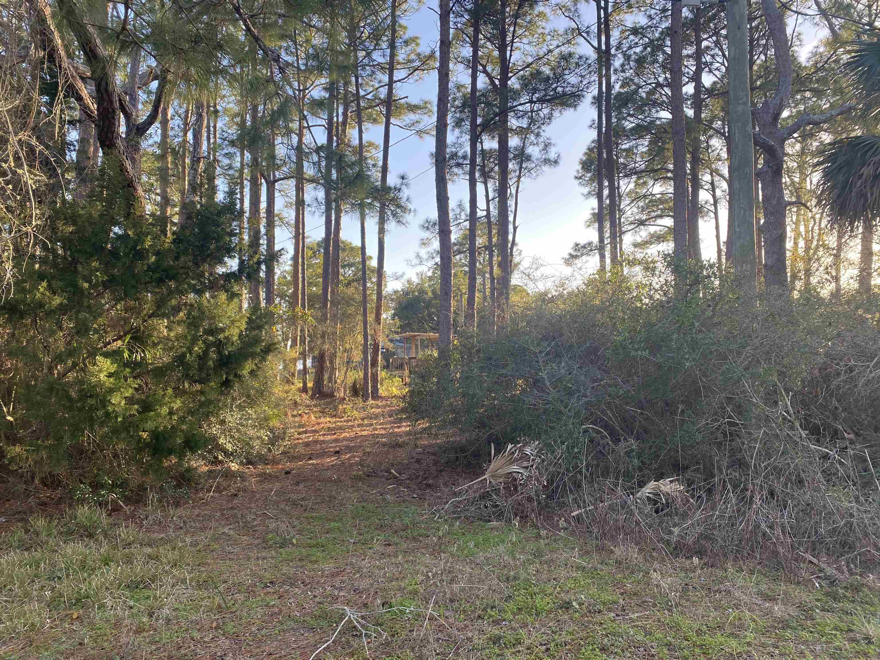 7 Tide Creek Drive, Panacea, Florida image 11