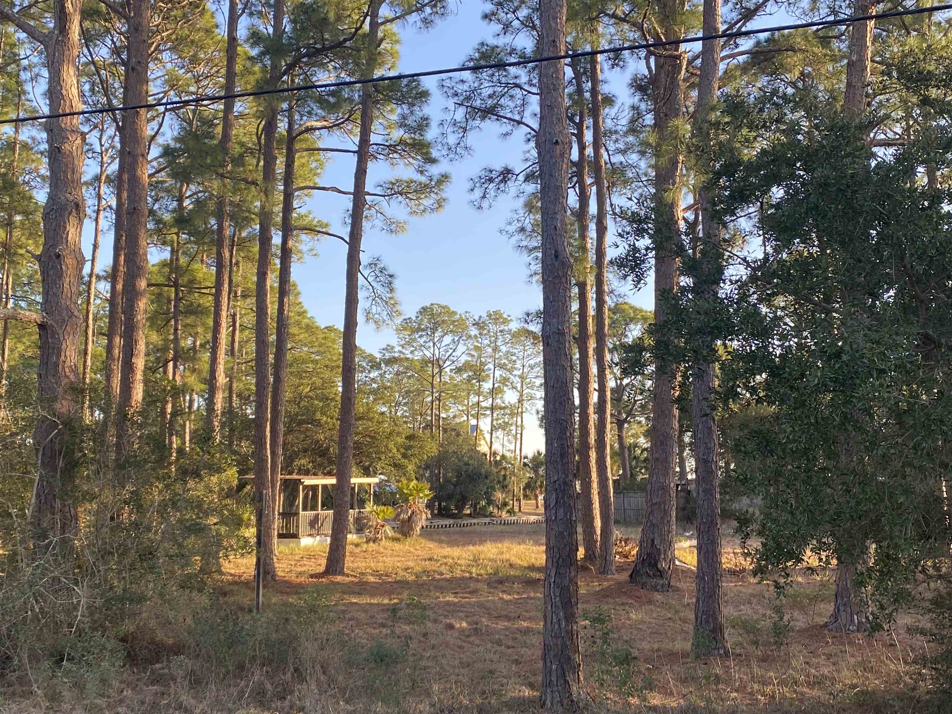 7 Tide Creek Drive, Panacea, Florida image 12