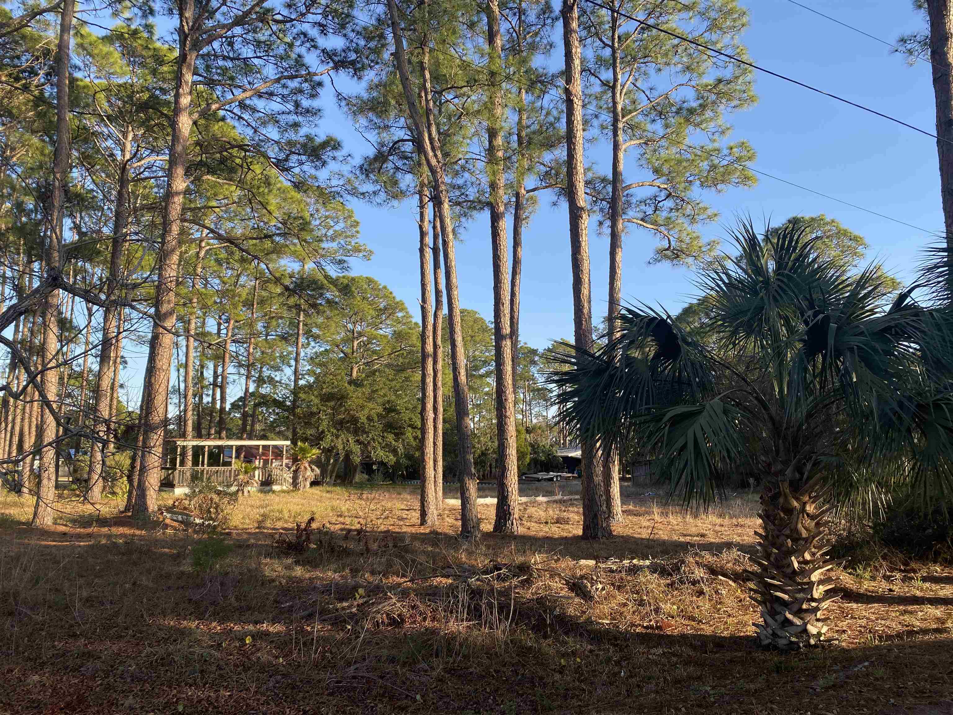 7 Tide Creek Drive, Panacea, Florida image 14