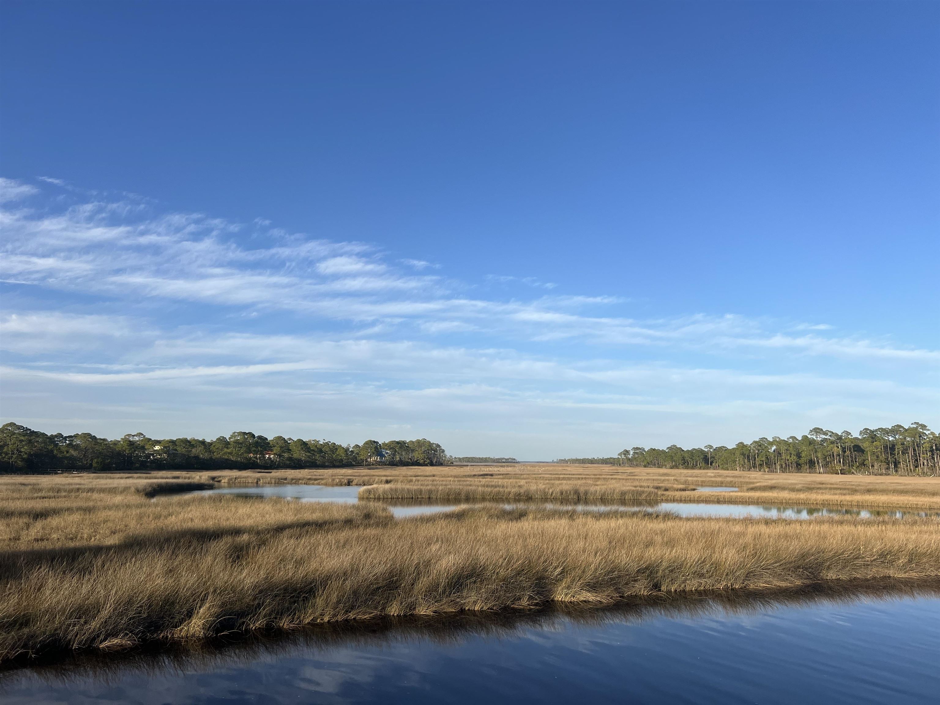 7 Tide Creek Drive, Panacea, Florida image 18