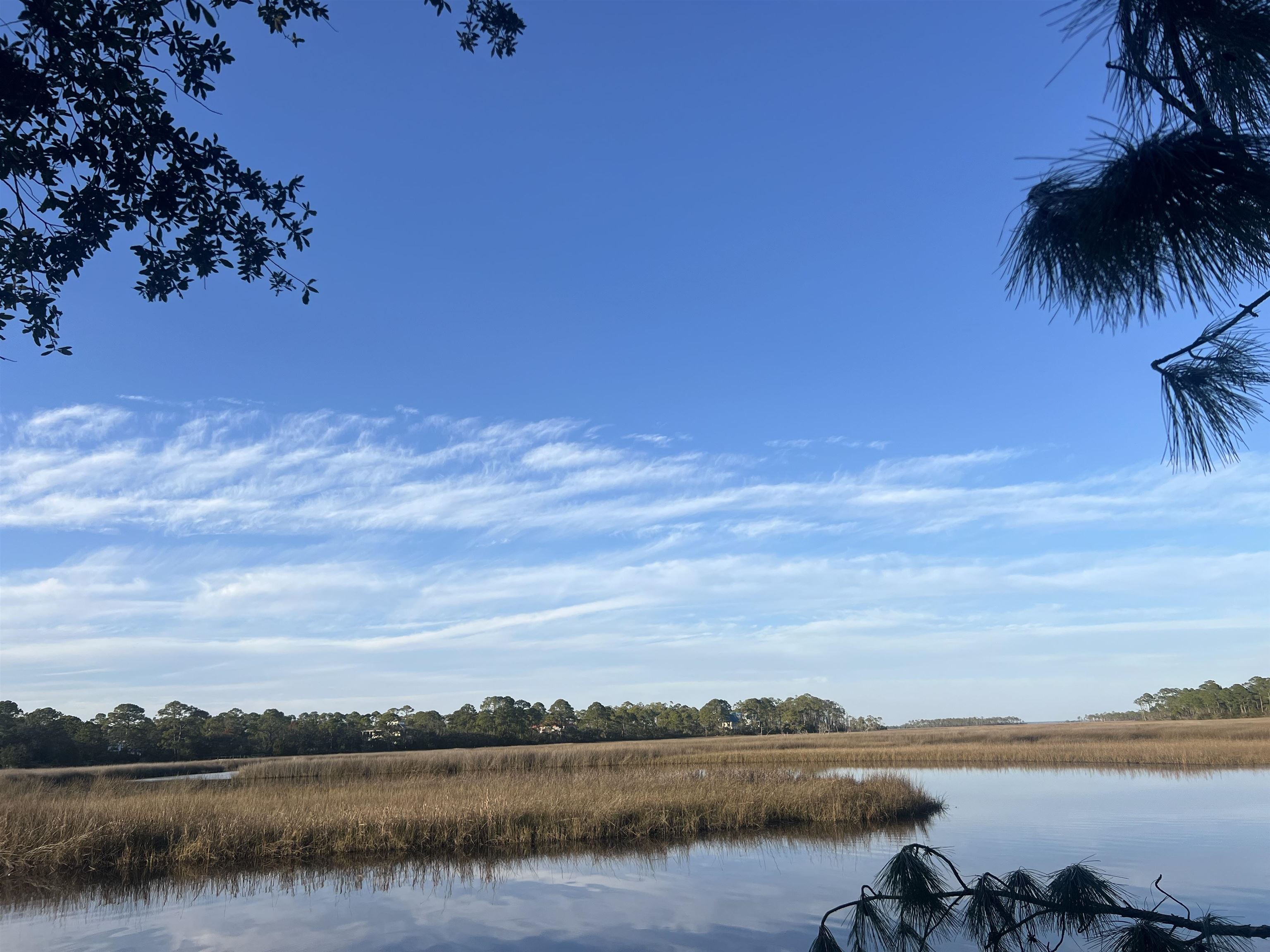 7 Tide Creek Drive, Panacea, Florida image 19