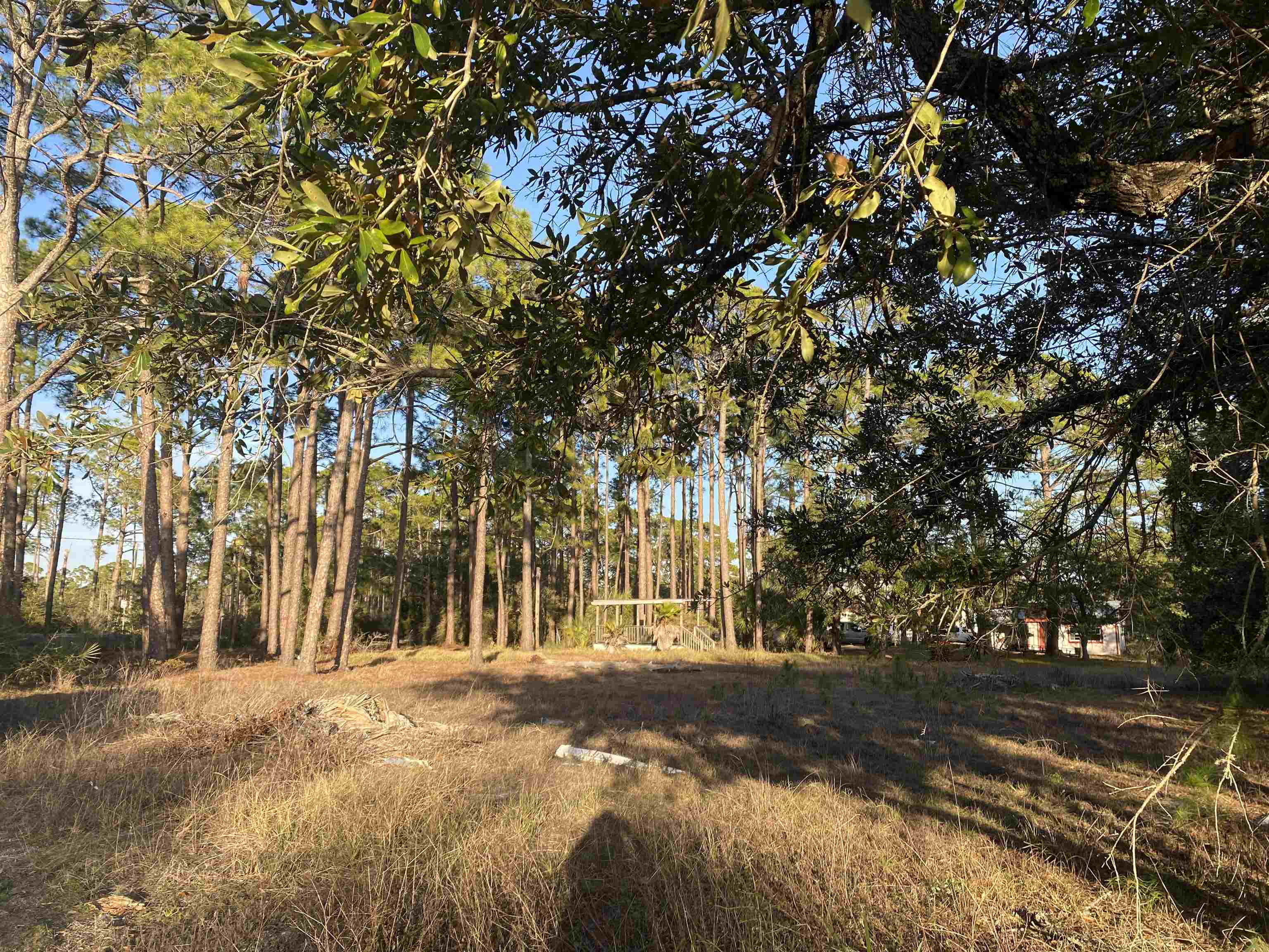 7 Tide Creek Drive, Panacea, Florida image 3