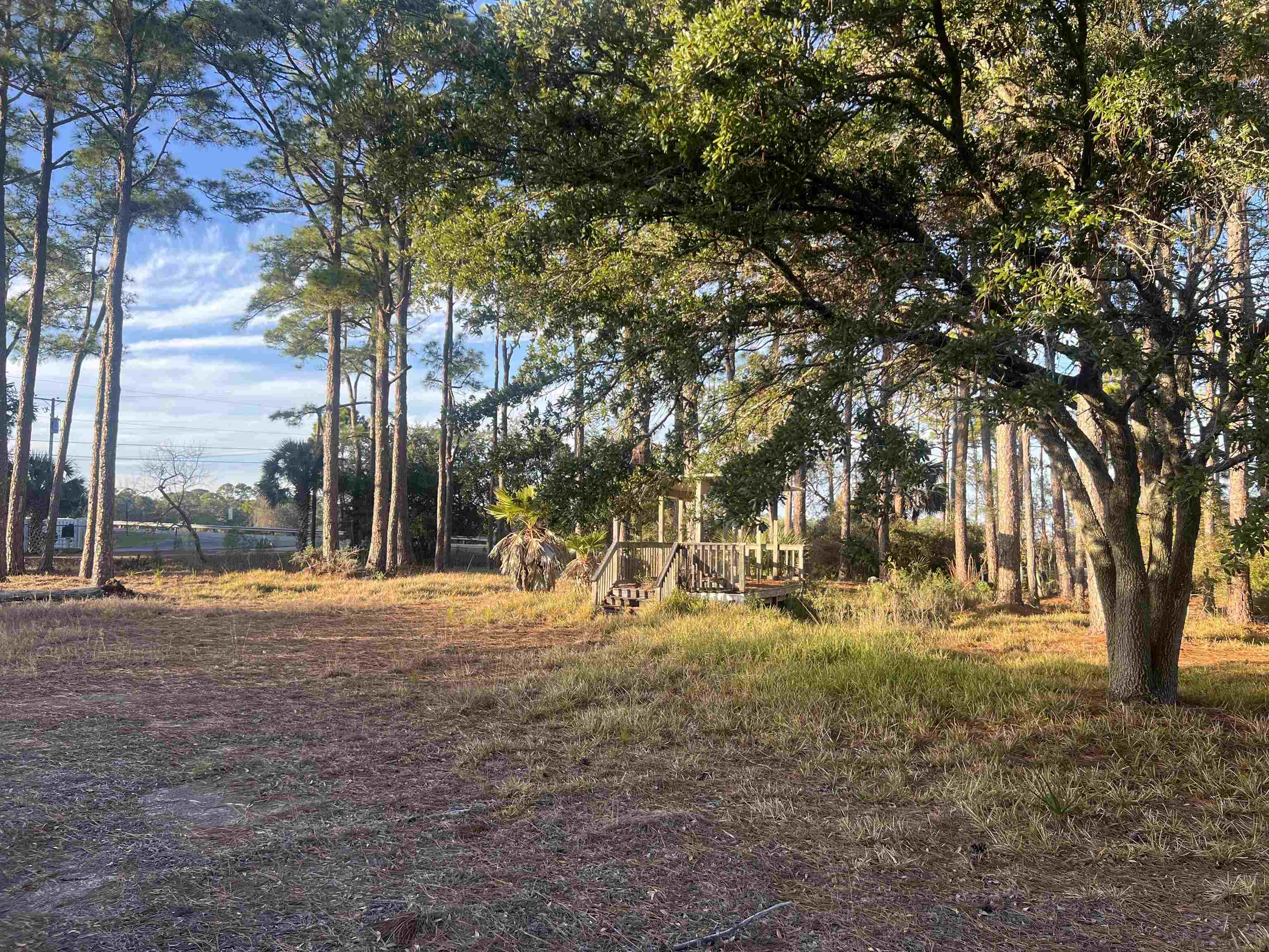 7 Tide Creek Drive, Panacea, Florida image 9