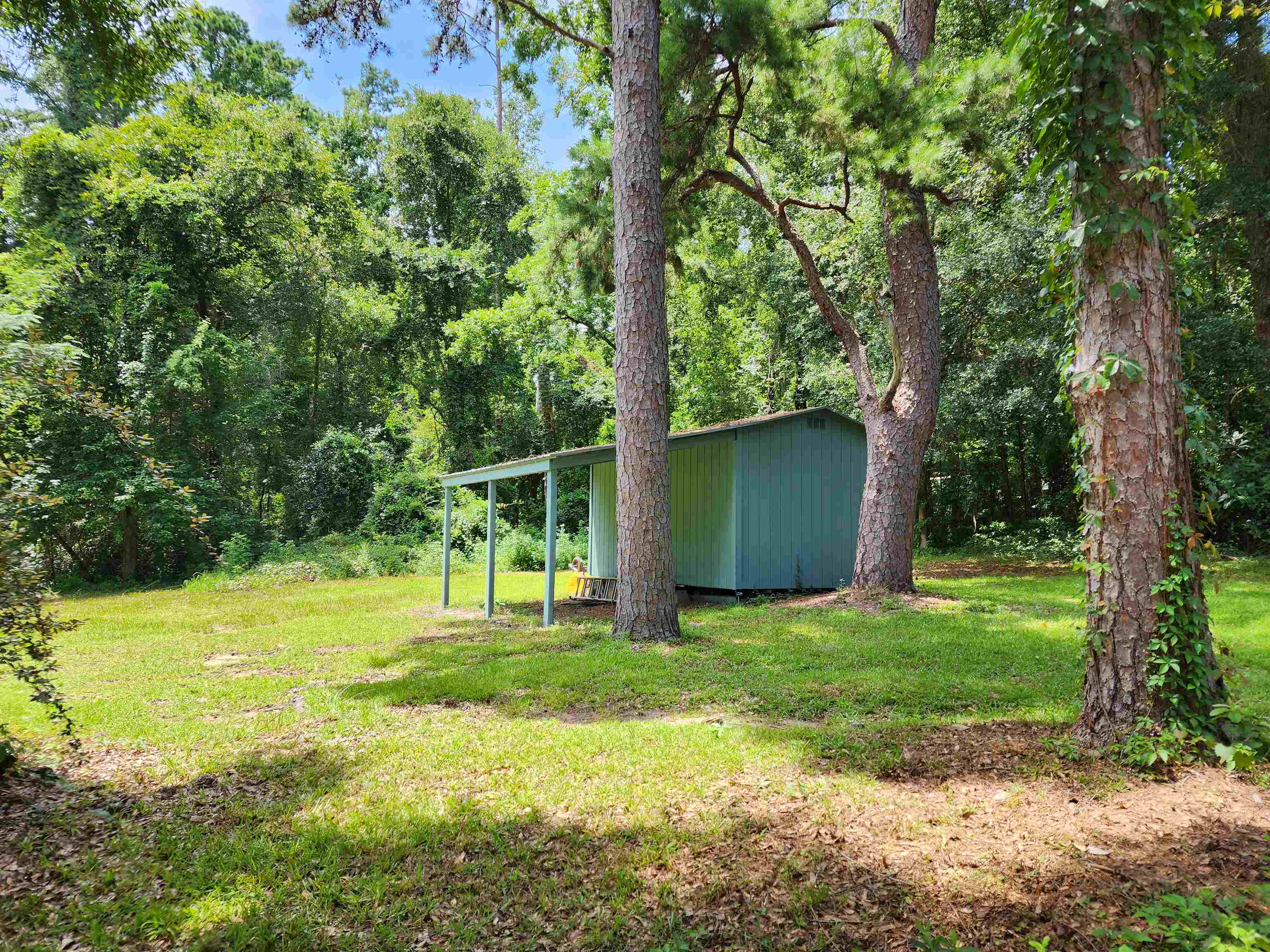 2320 Garland Court, Tallahassee, Texas image 38