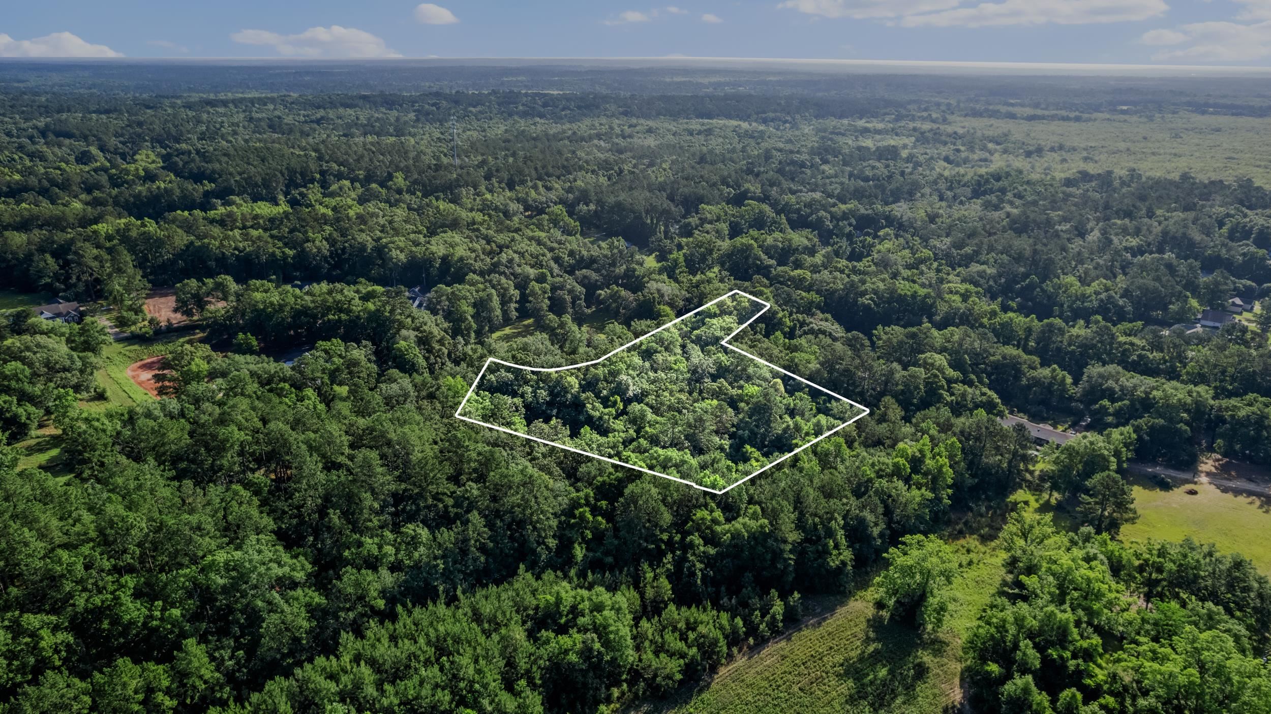Jomaureen Way, Tallahassee, Florida image 10