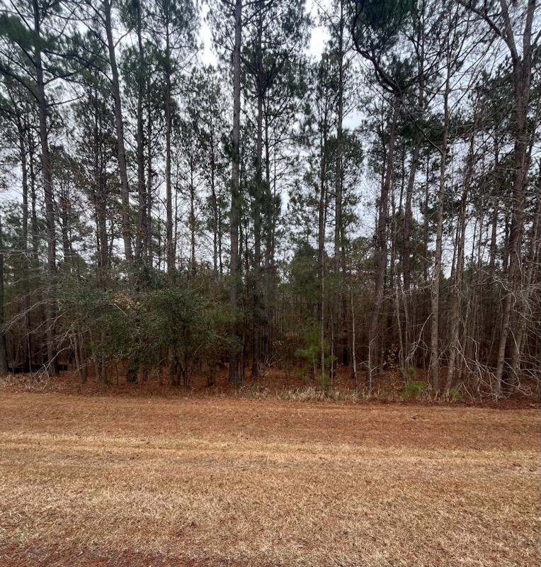Lot 80 Banning Way Road, Tallahassee, Florida image 2