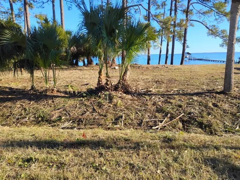 2222 Highway 98 East, Carrabelle, Florida image 1
