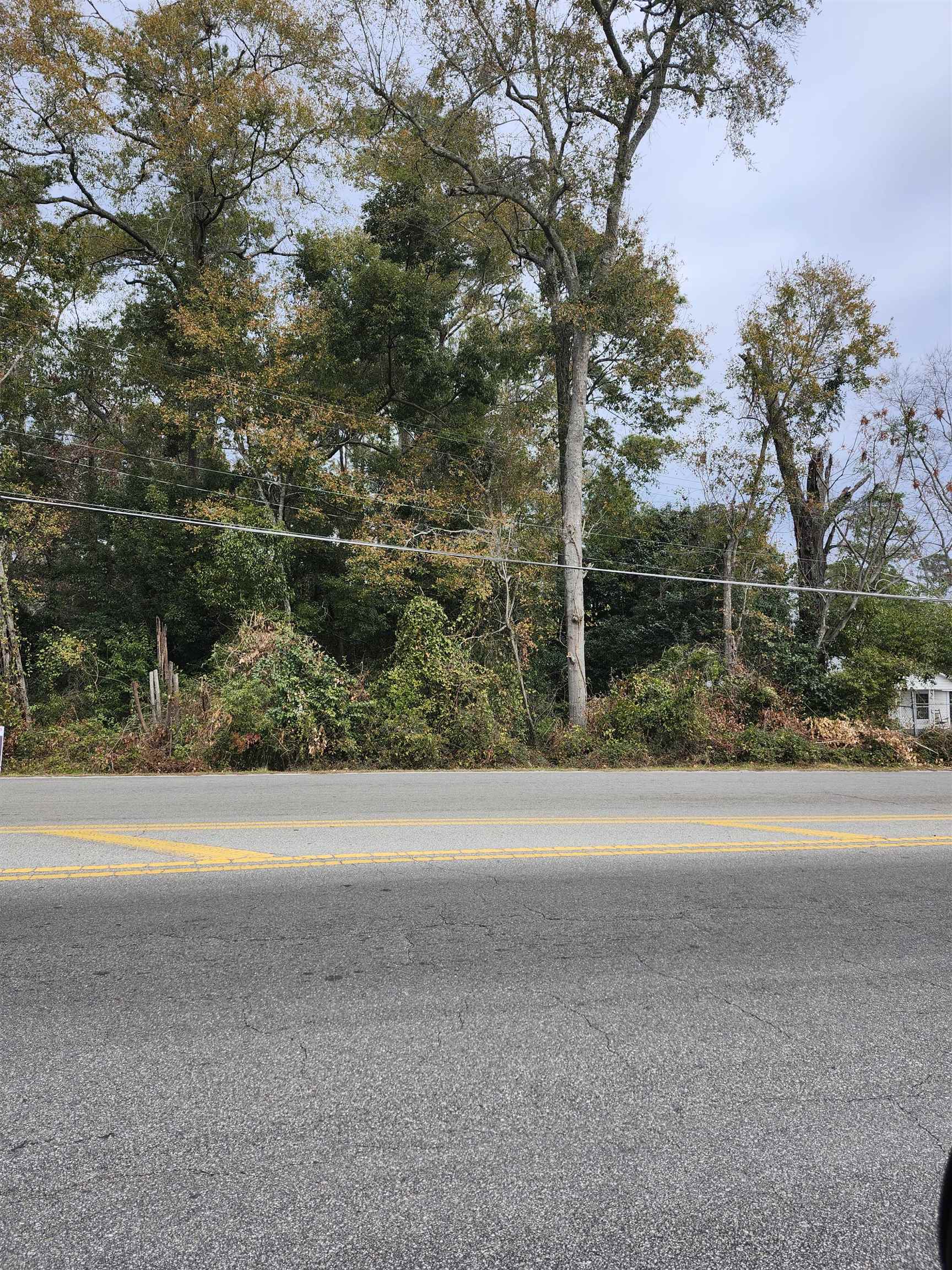 E Paul Russell Street, Tallahassee, Florida image 1