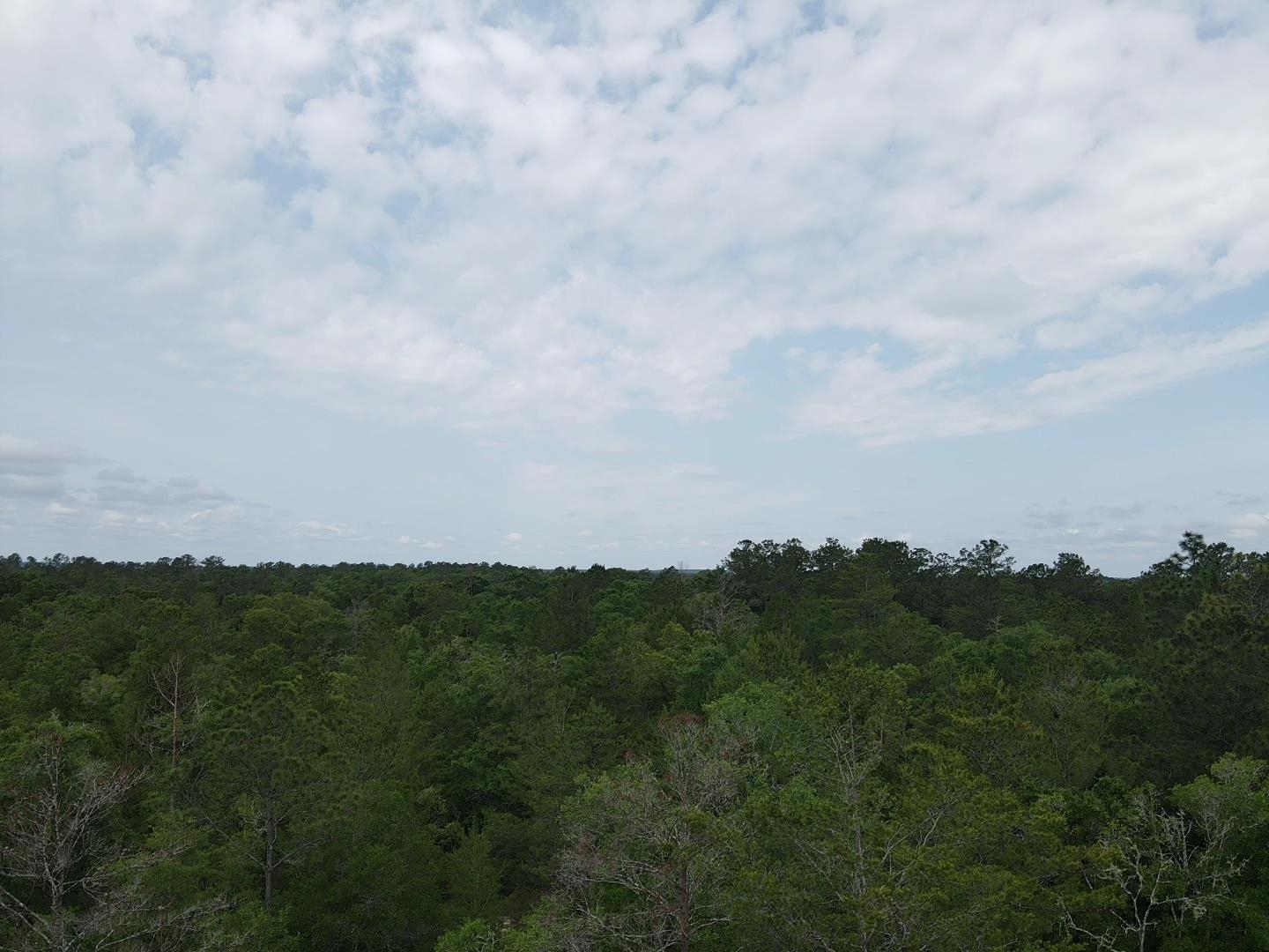 Central Road, Midway, Florida image 10