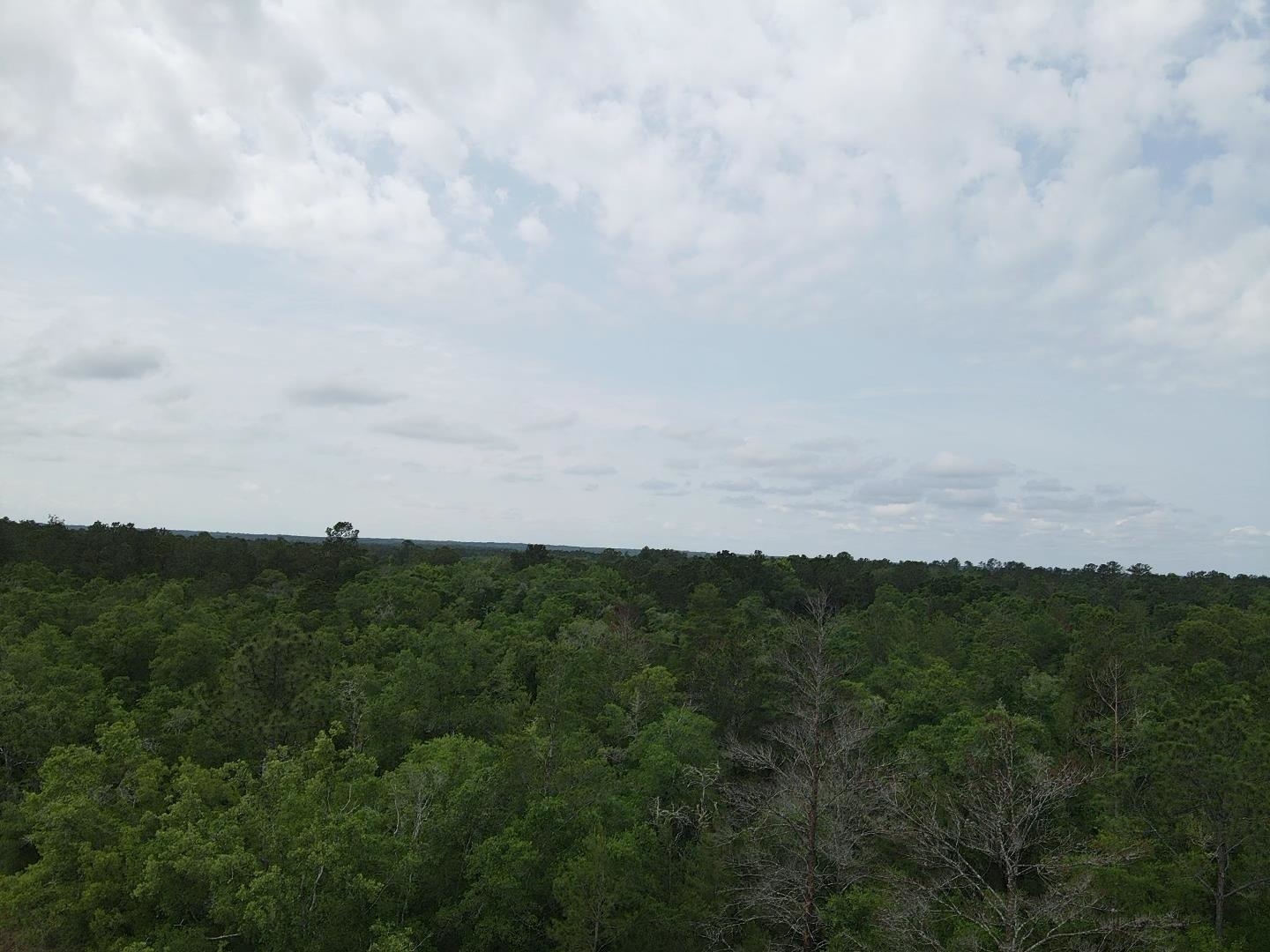 Central Road, Midway, Florida image 11