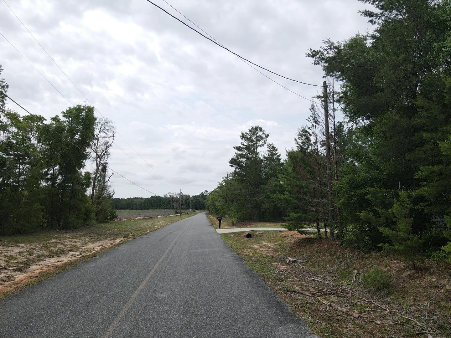 Central Road, Midway, Florida image 3
