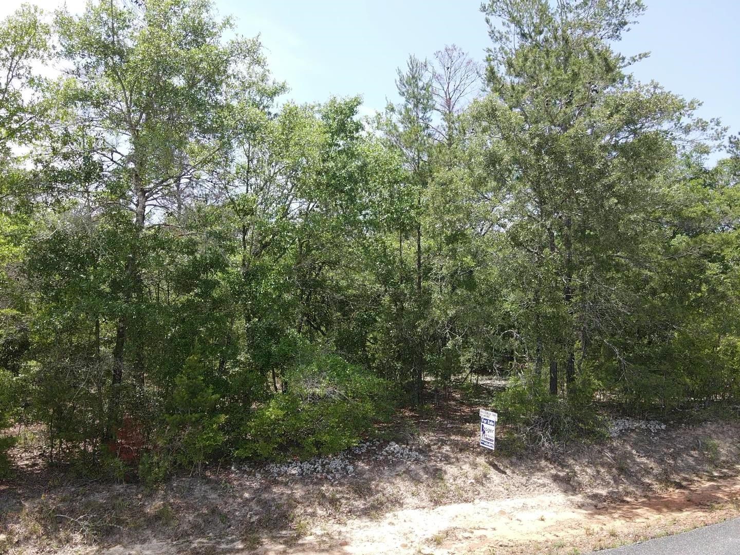 Central Road, Midway, Florida image 5