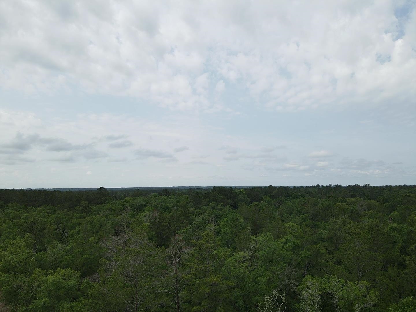 Central Road, Midway, Florida image 9