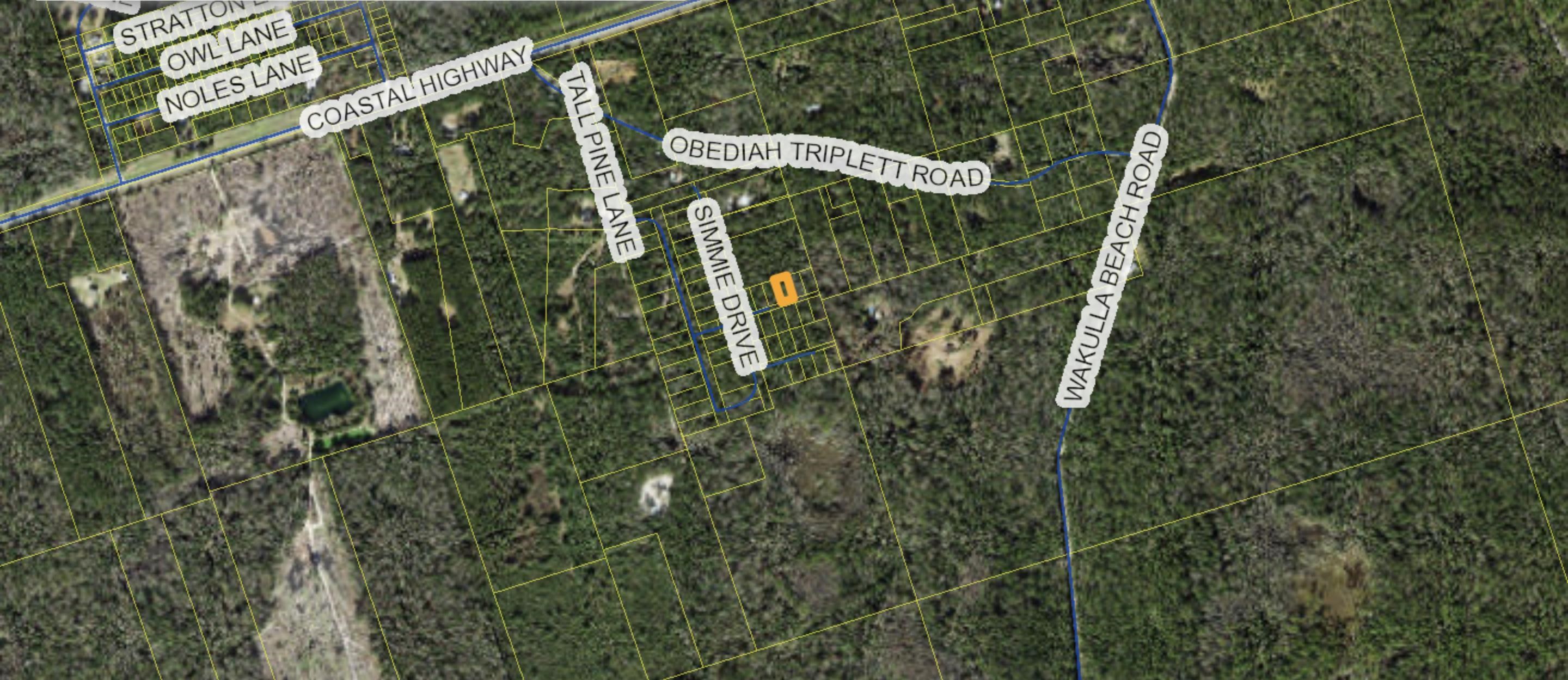 Lot 4 Keerns Drive, Crawfordville, Texas image 2