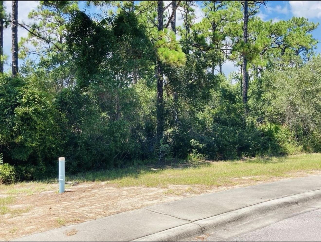 129 Anhinga Court, Carrabelle, Florida image 1