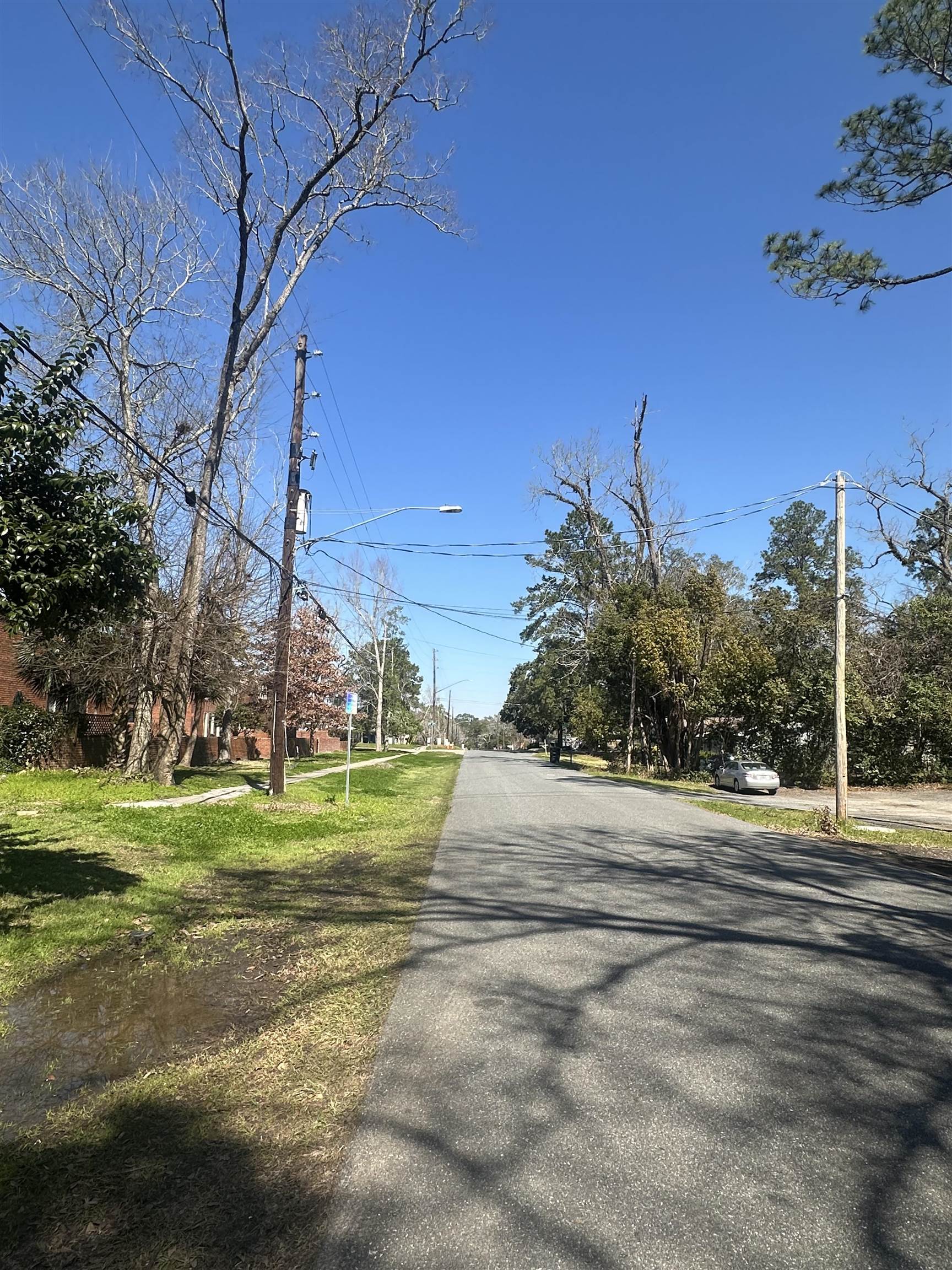 214 Belmont Road, Tallahassee, Florida image 19