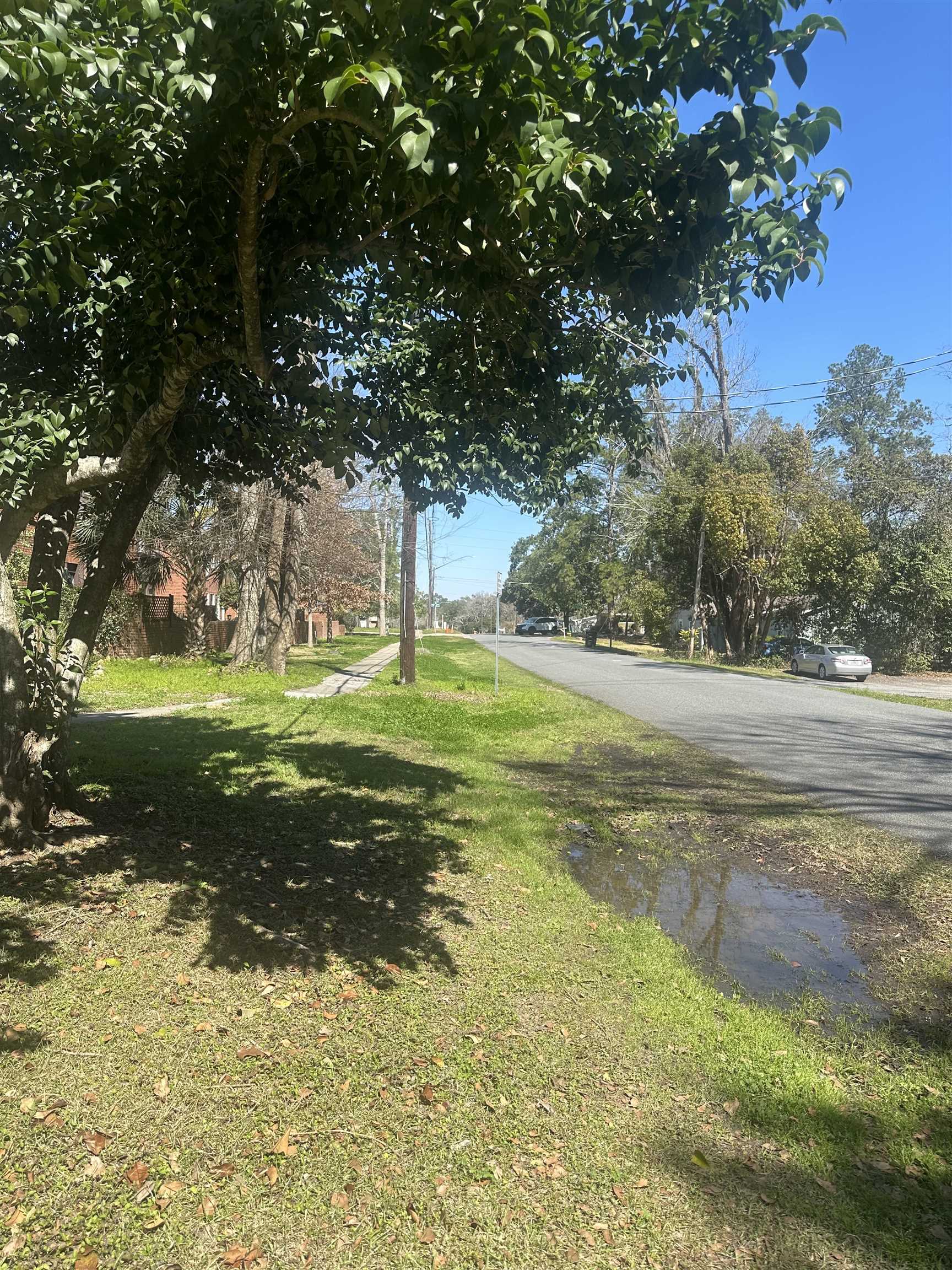 214 Belmont Road, Tallahassee, Florida image 22