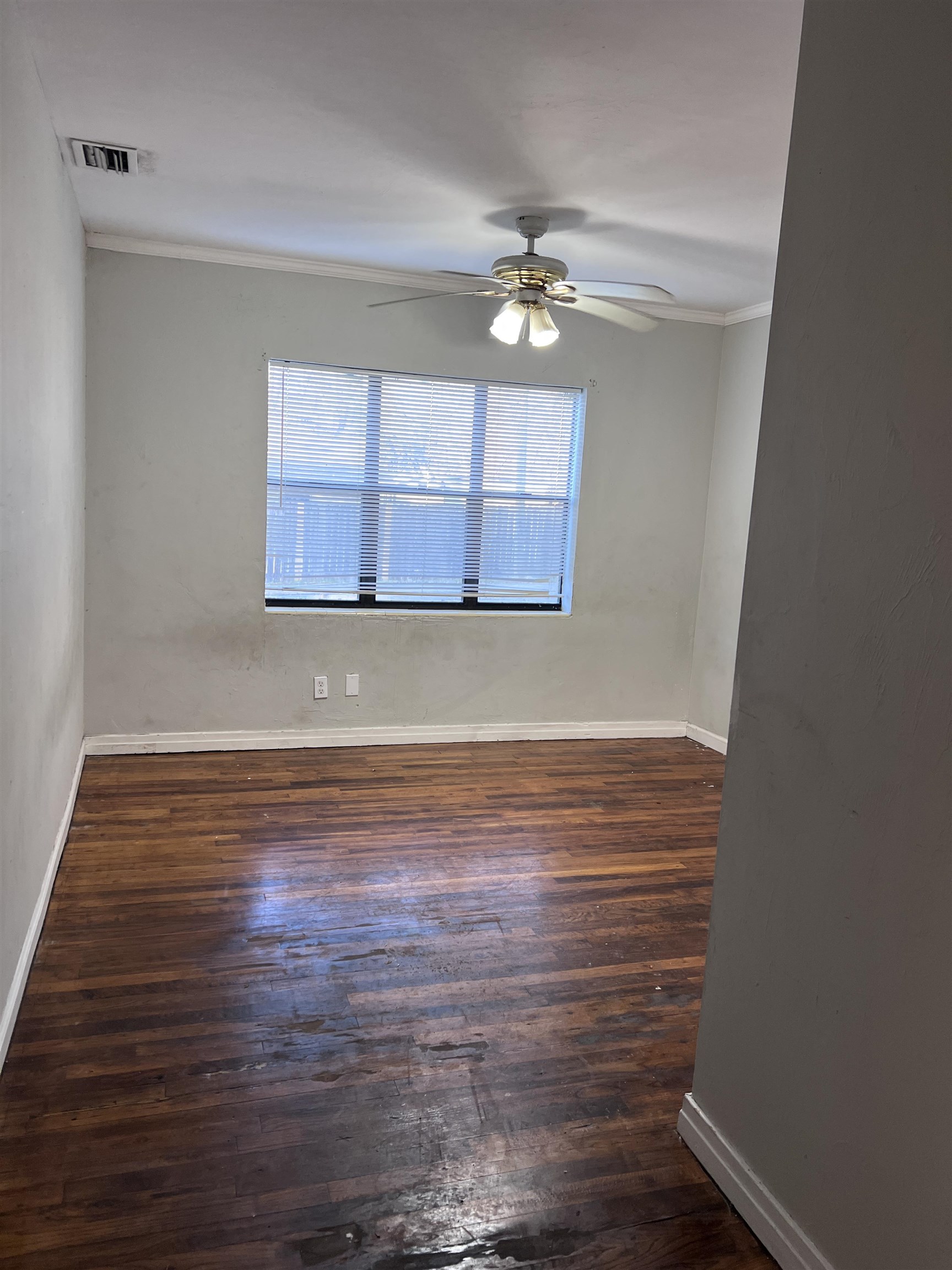 2001 Daisy Street, Tallahassee, Florida image 12