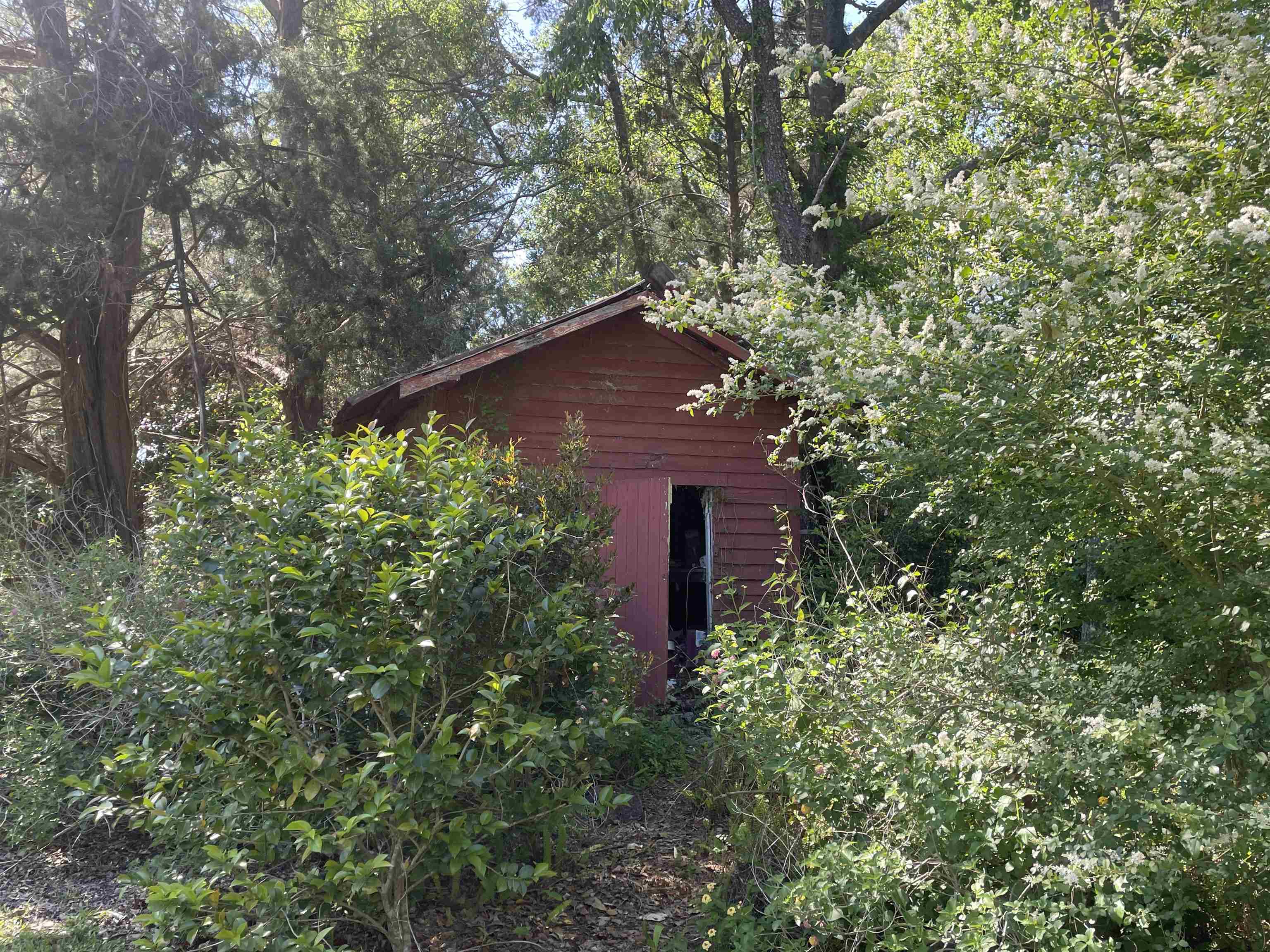 2442 NW Cr 150 Road, Greenville, Florida image 13