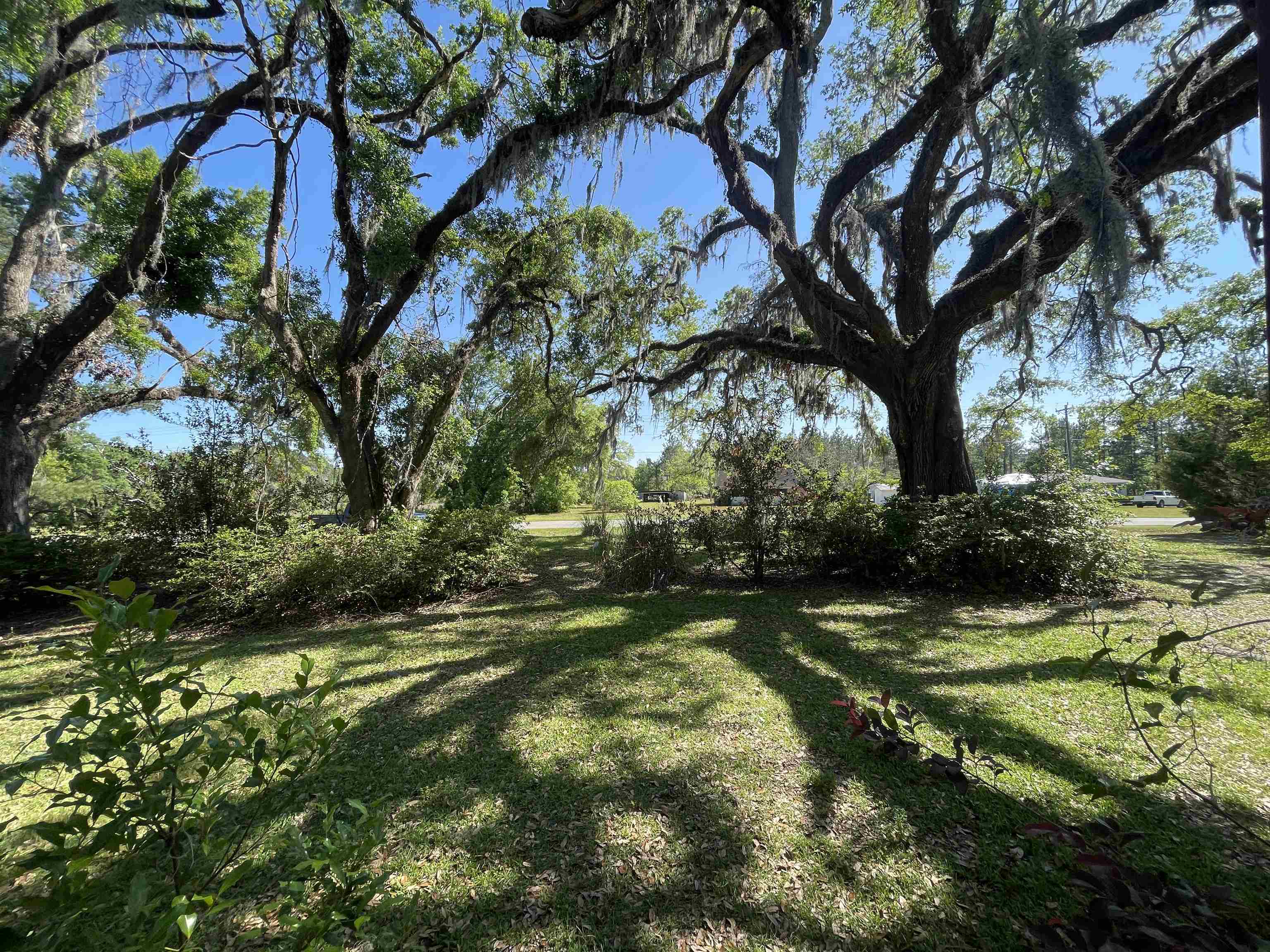 2442 NW Cr 150 Road, Greenville, Florida image 15
