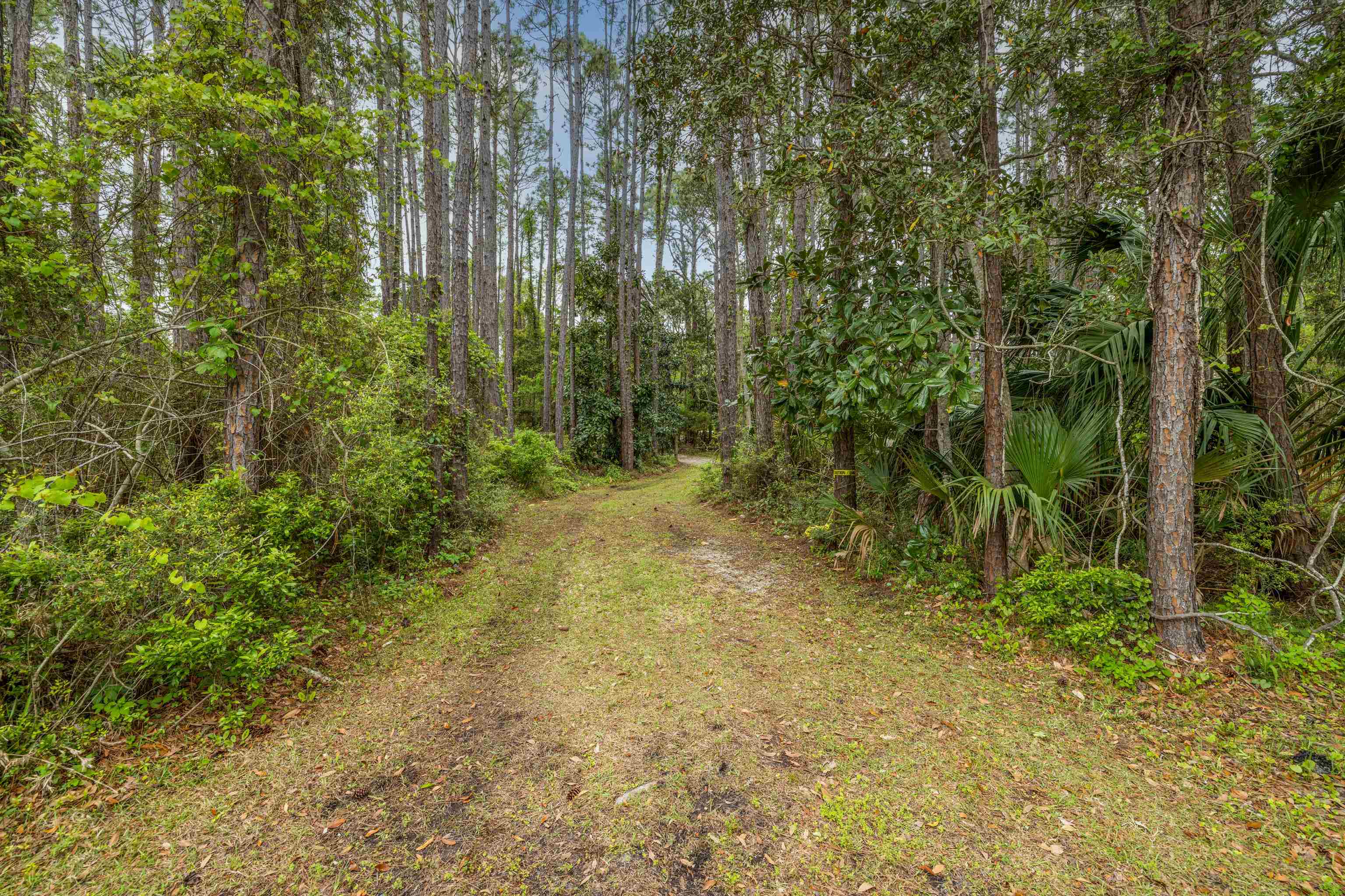 2630 E Us Highway 98 Highway, Lanark, Florida image 9