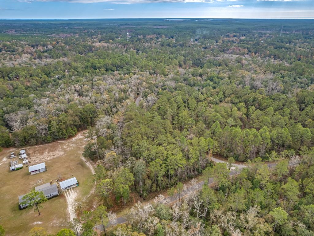 81 Cherokee Drive, Sopchoppy, Texas image 9