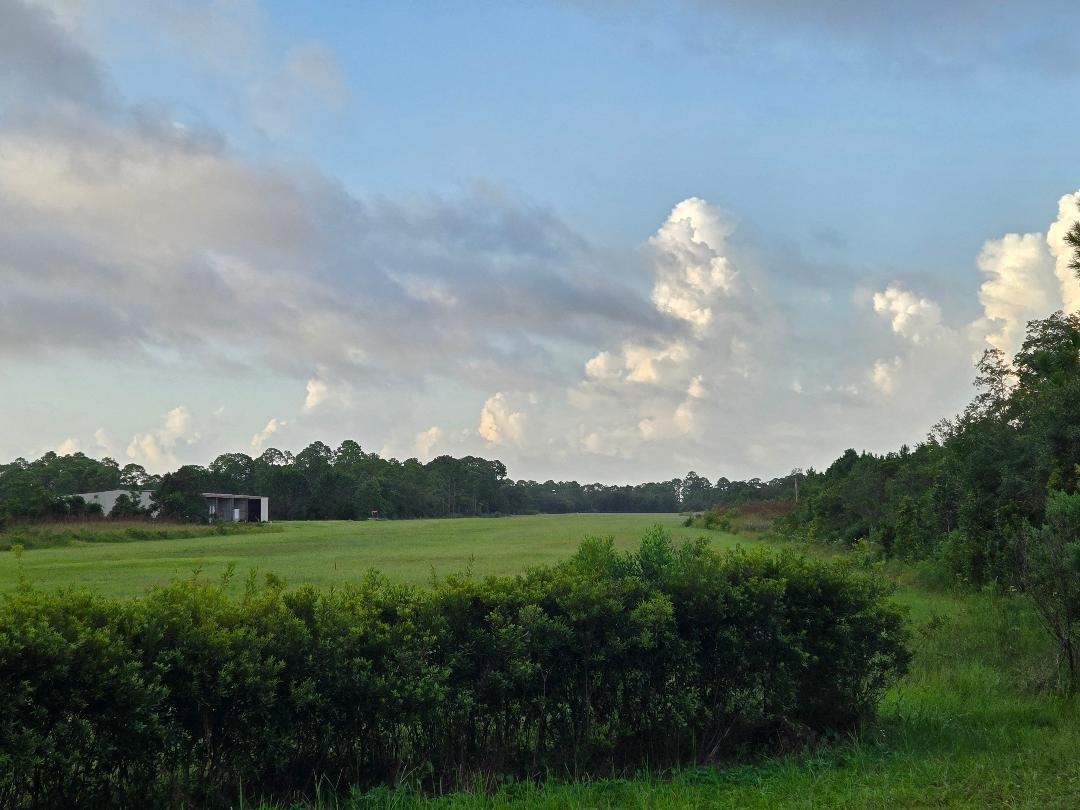 Lot 15 Skyhawk Lane, Panacea, Florida image 1