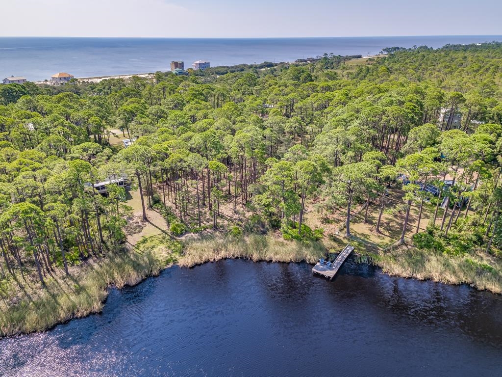 51 Lakeview Drive, Alligator Point, Texas image 11