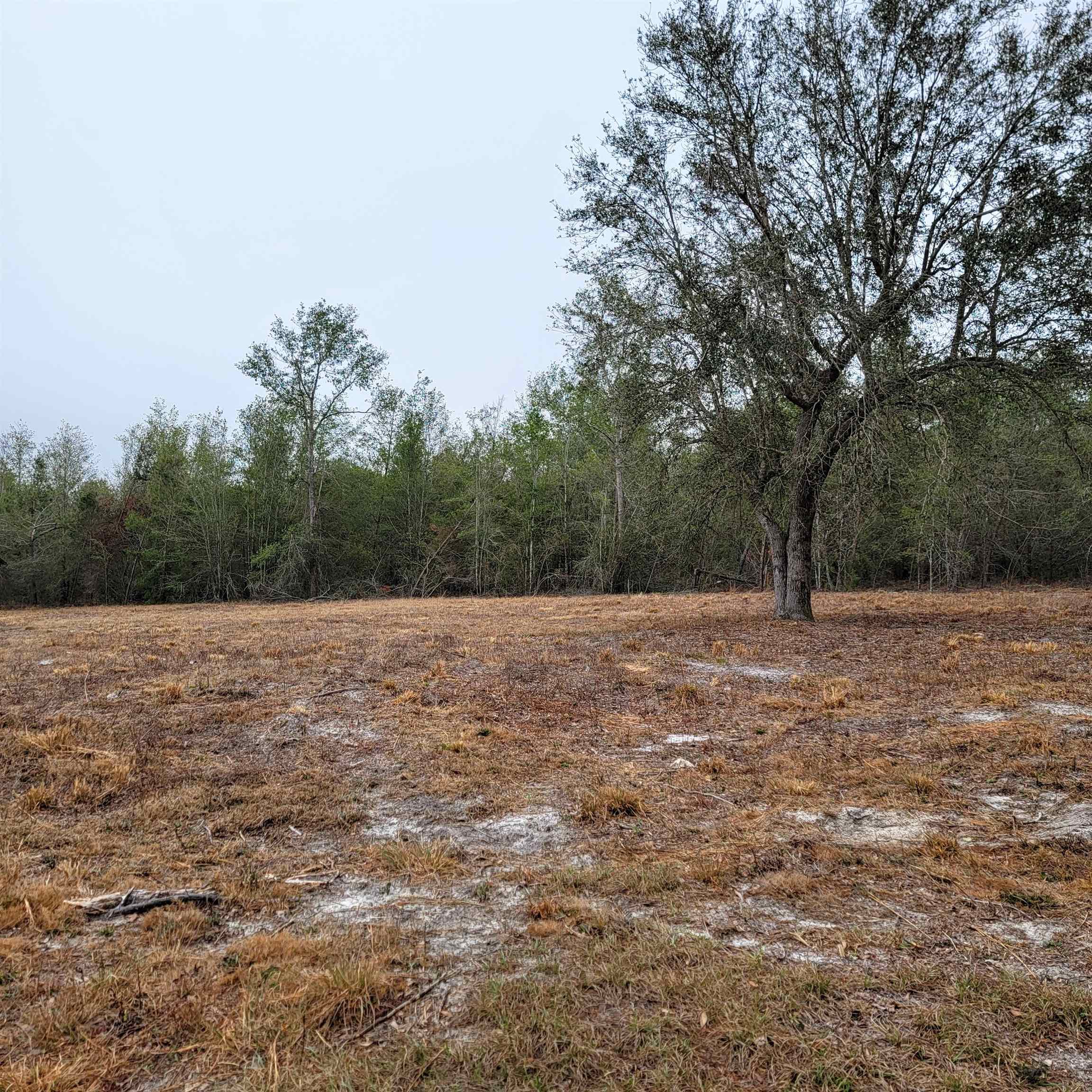 SE Parliament Trail, Lee, Florida image 1