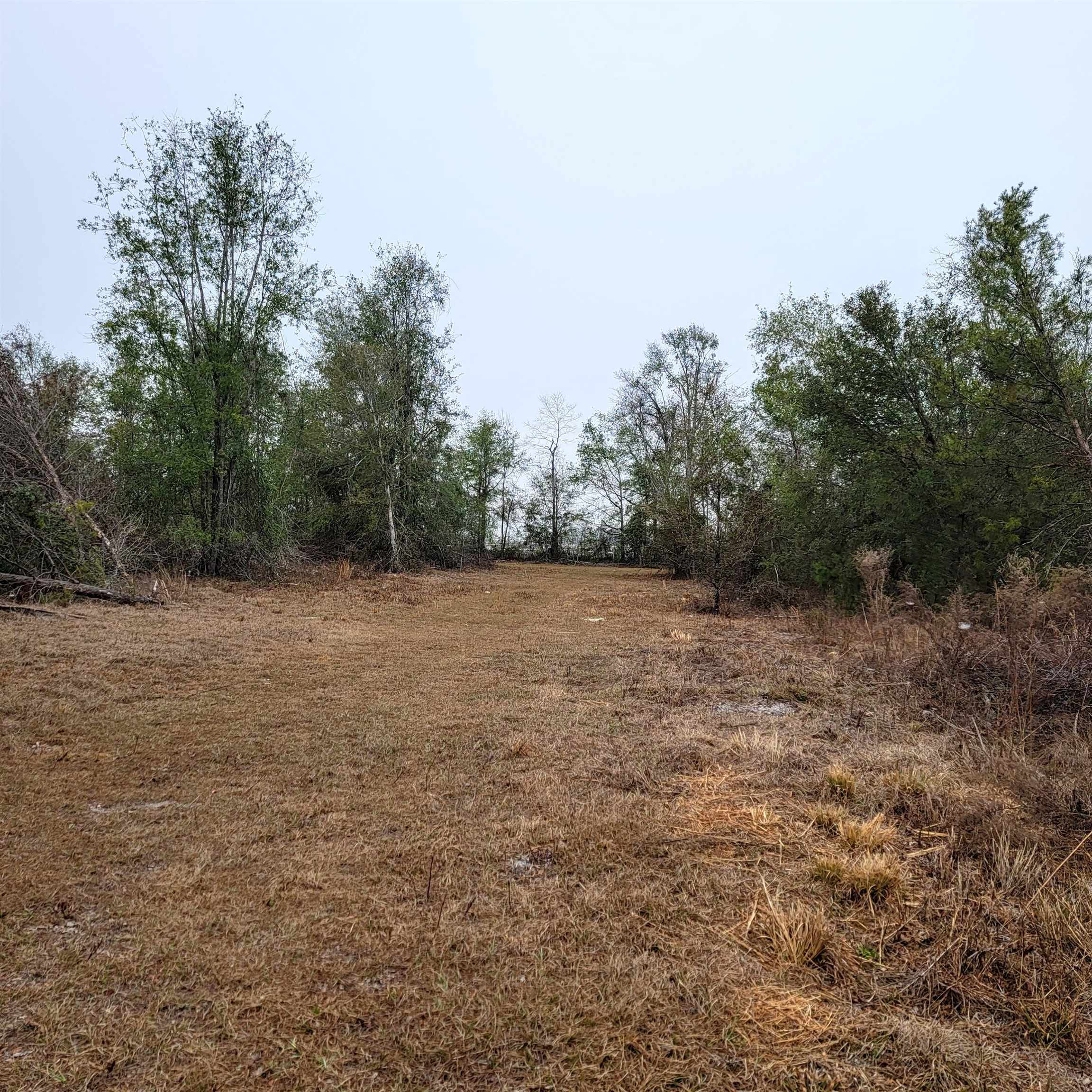 SE Parliament Trail, Lee, Florida image 10