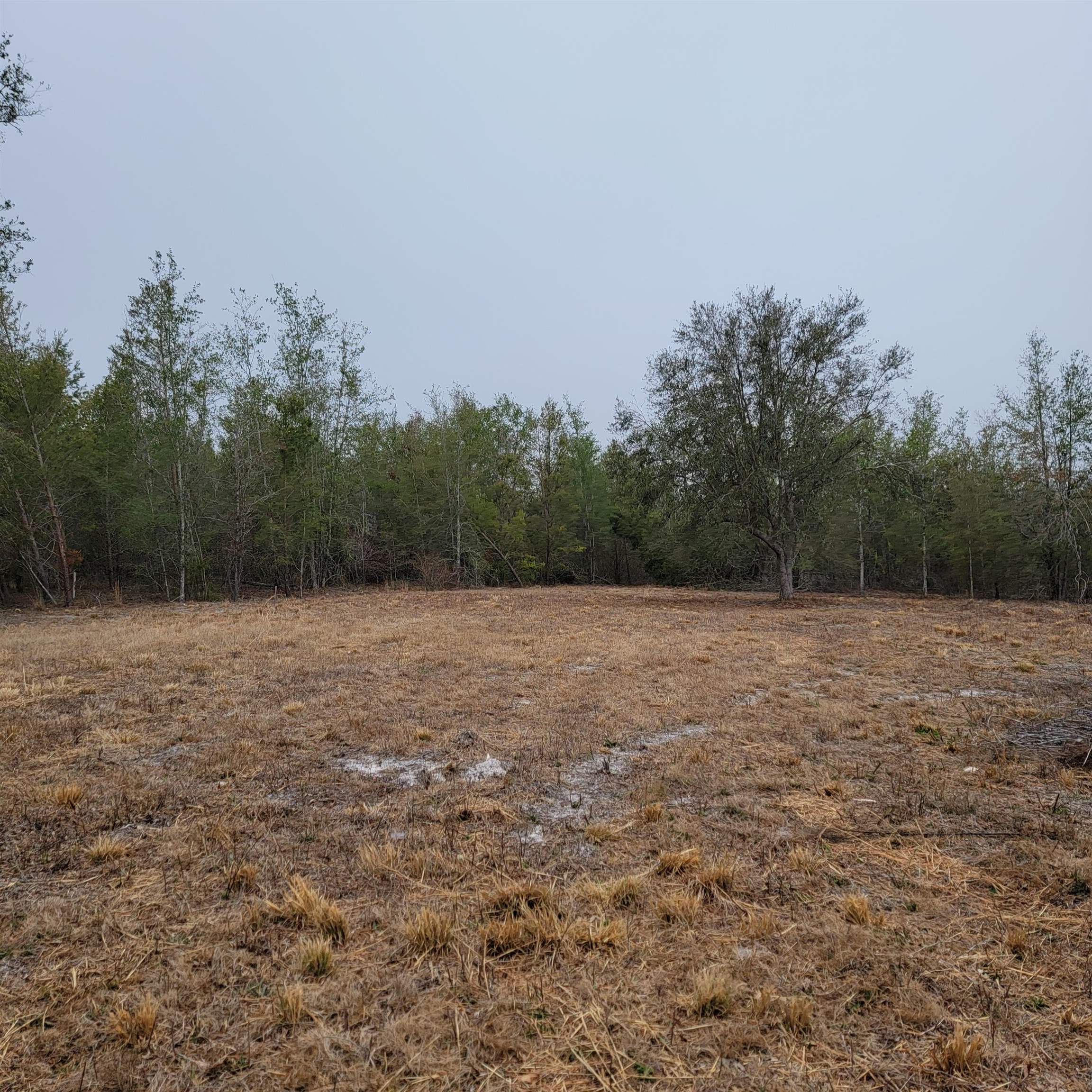 SE Parliament Trail, Lee, Florida image 11