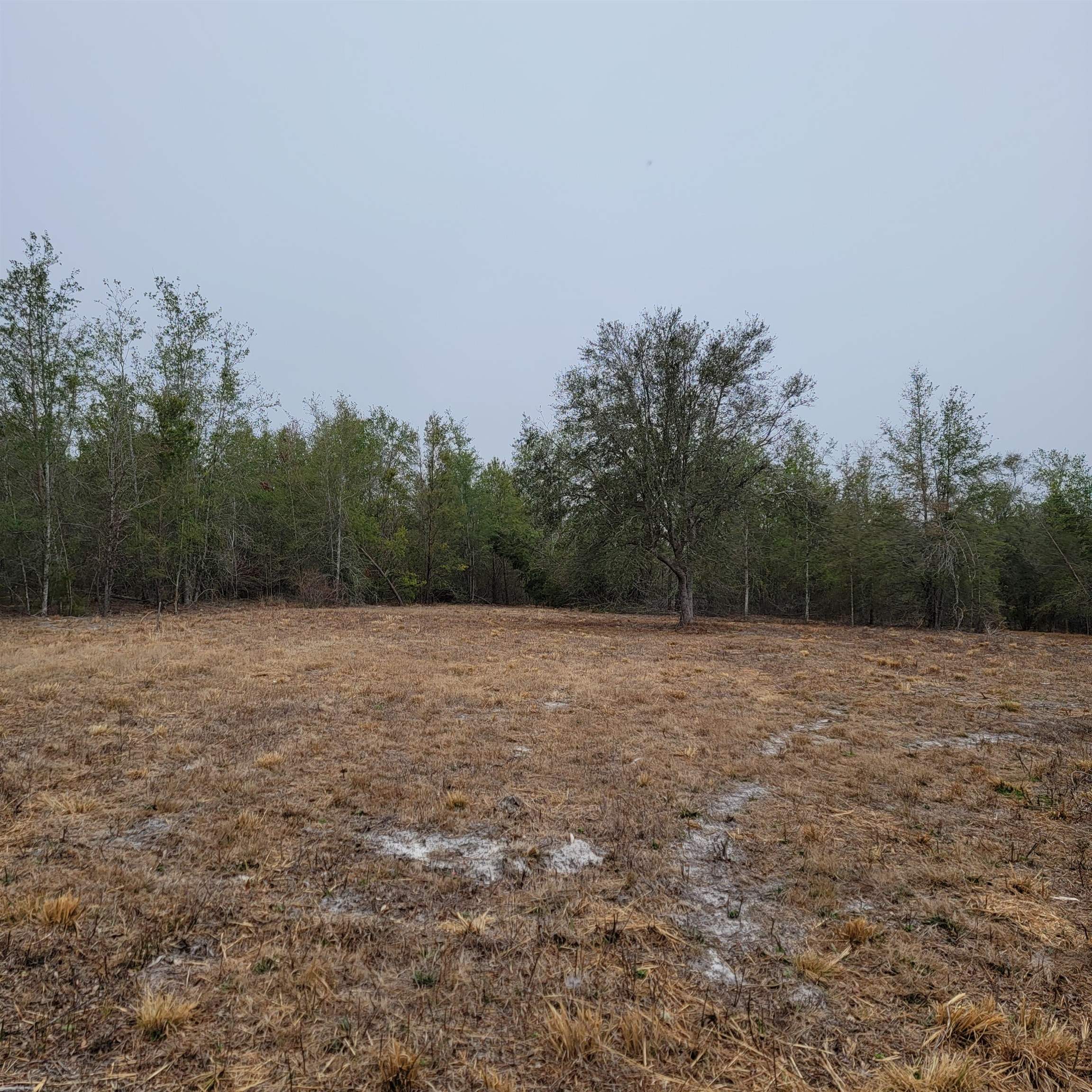 SE Parliament Trail, Lee, Florida image 15