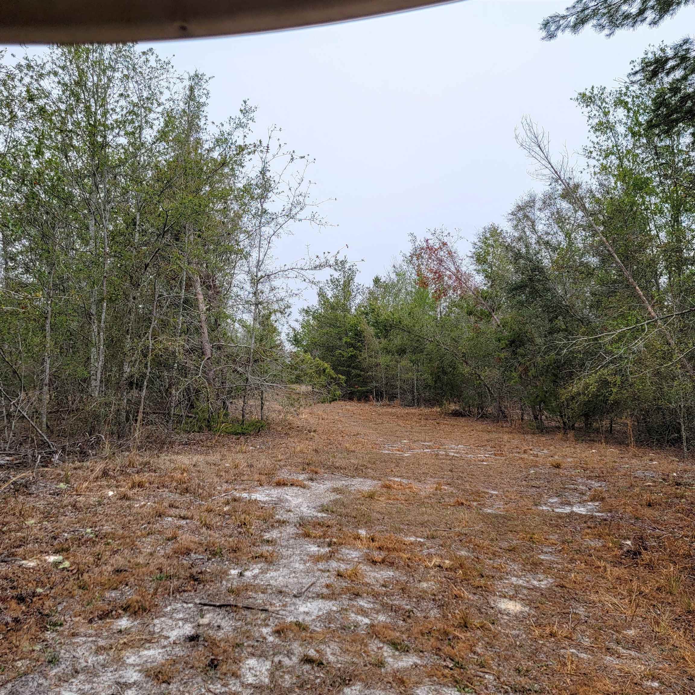 SE Parliament Trail, Lee, Florida image 16