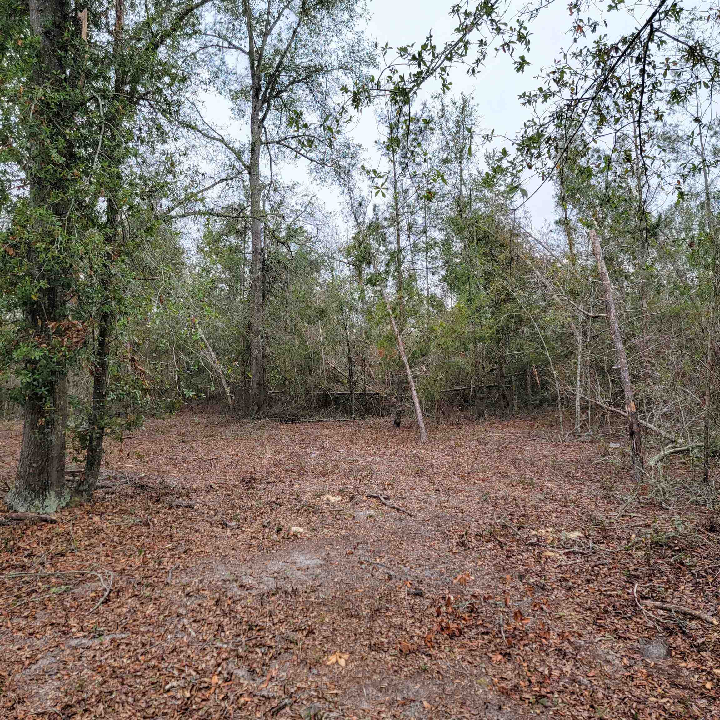 SE Parliament Trail, Lee, Florida image 19